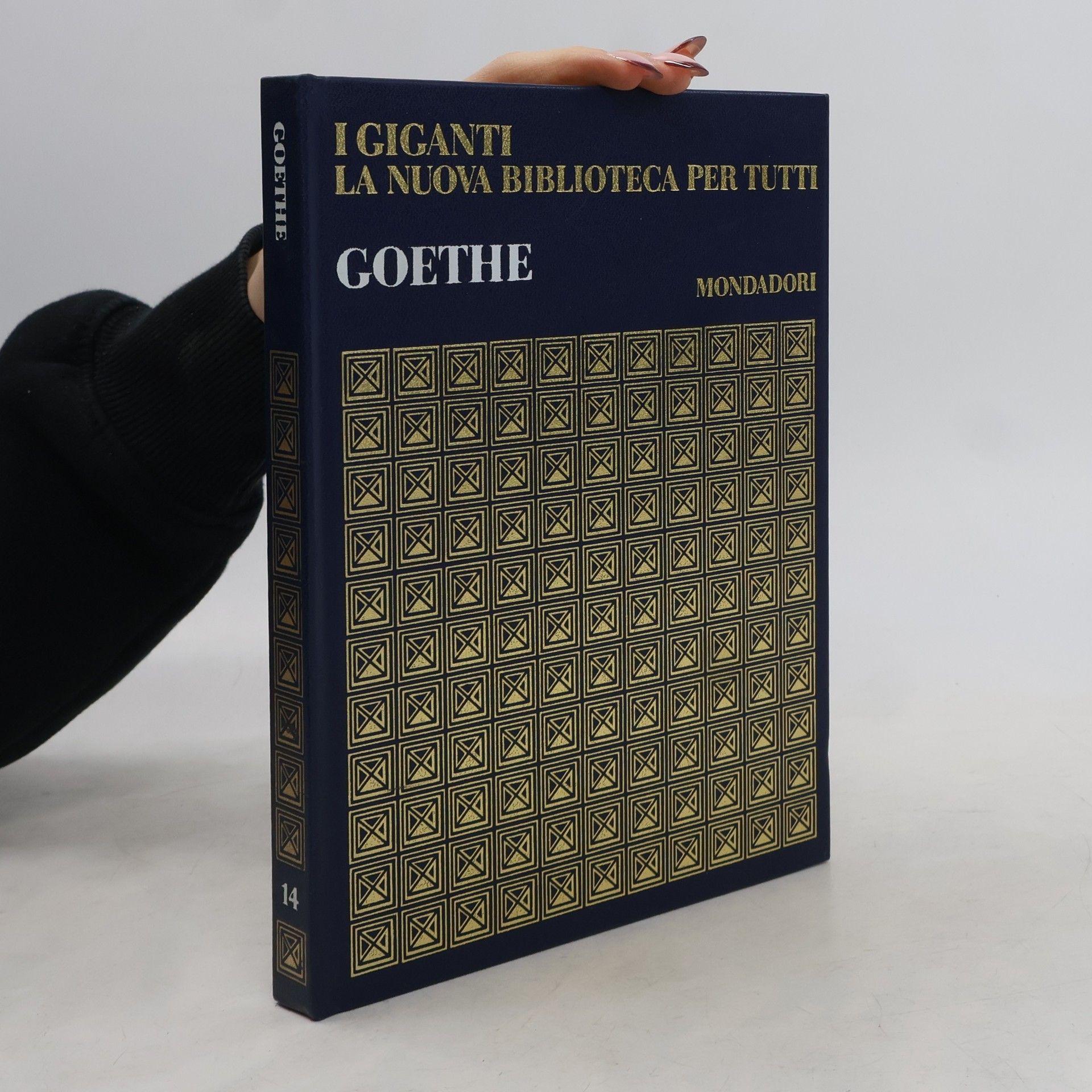 Auteurscollectief I giganti la nuova biblioteca per tutti 14. Goethe