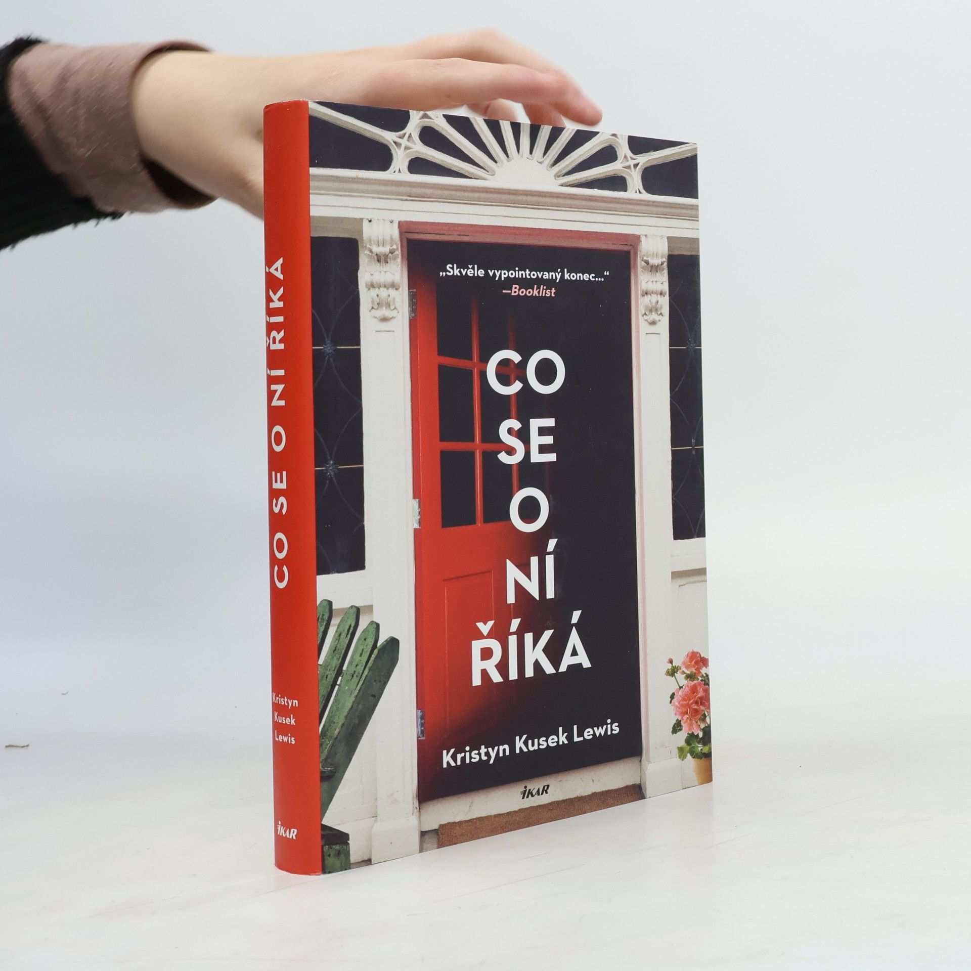 Kristyn Kusek Lewis Co se o ní říká