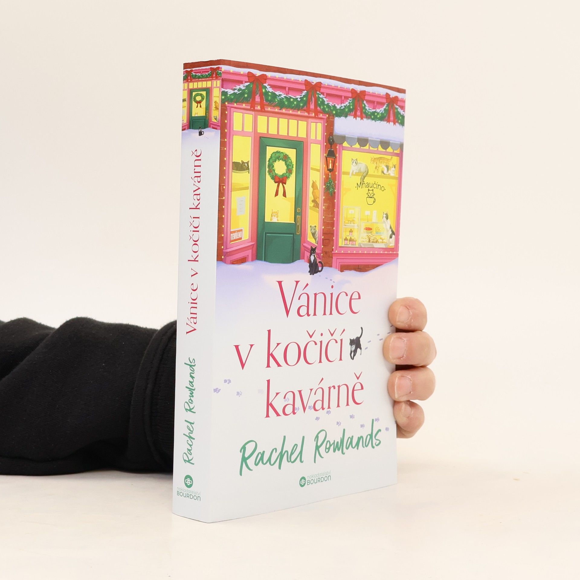 Vánice v kočičí kavárně