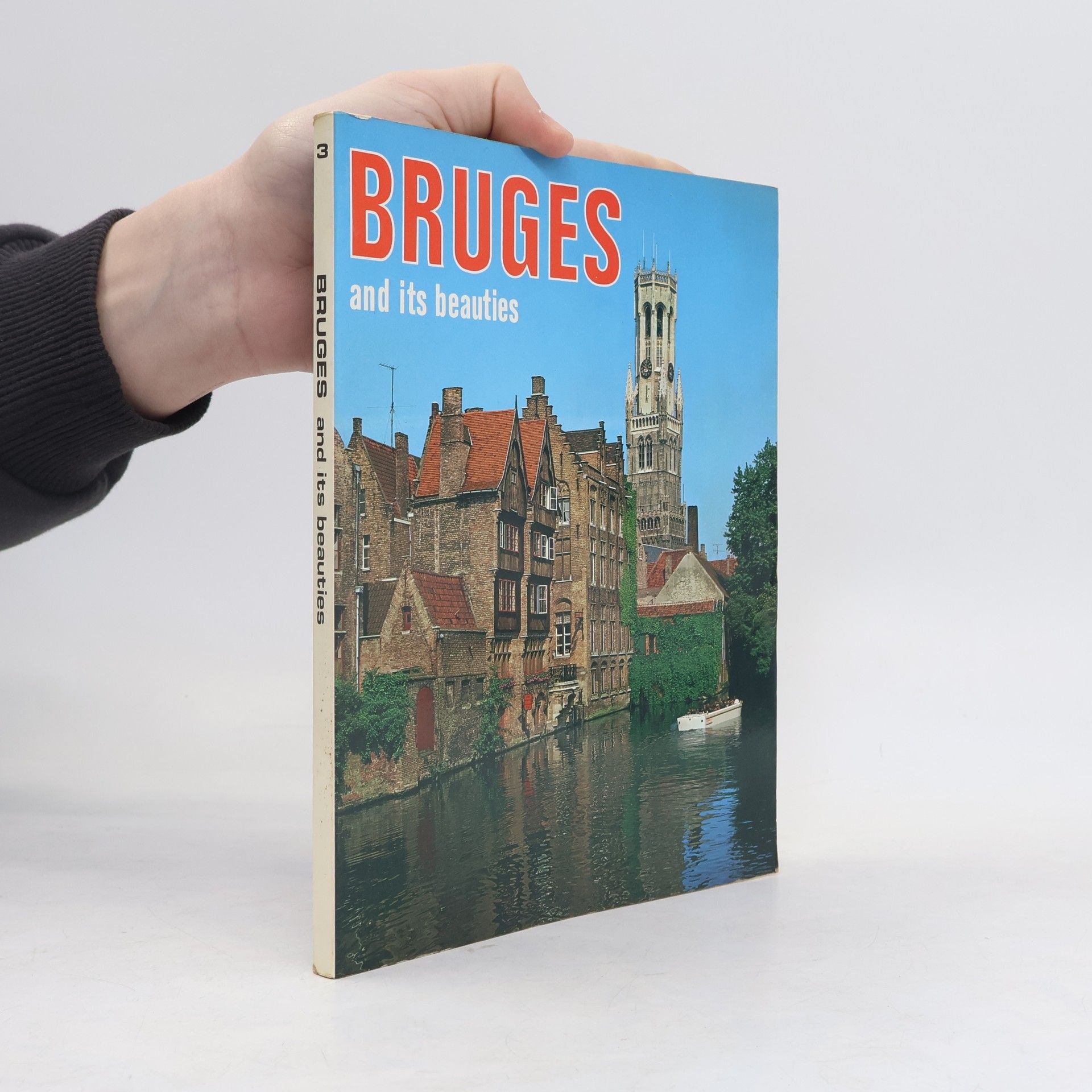 Collectif d'auteurs Brussels and its Beauties