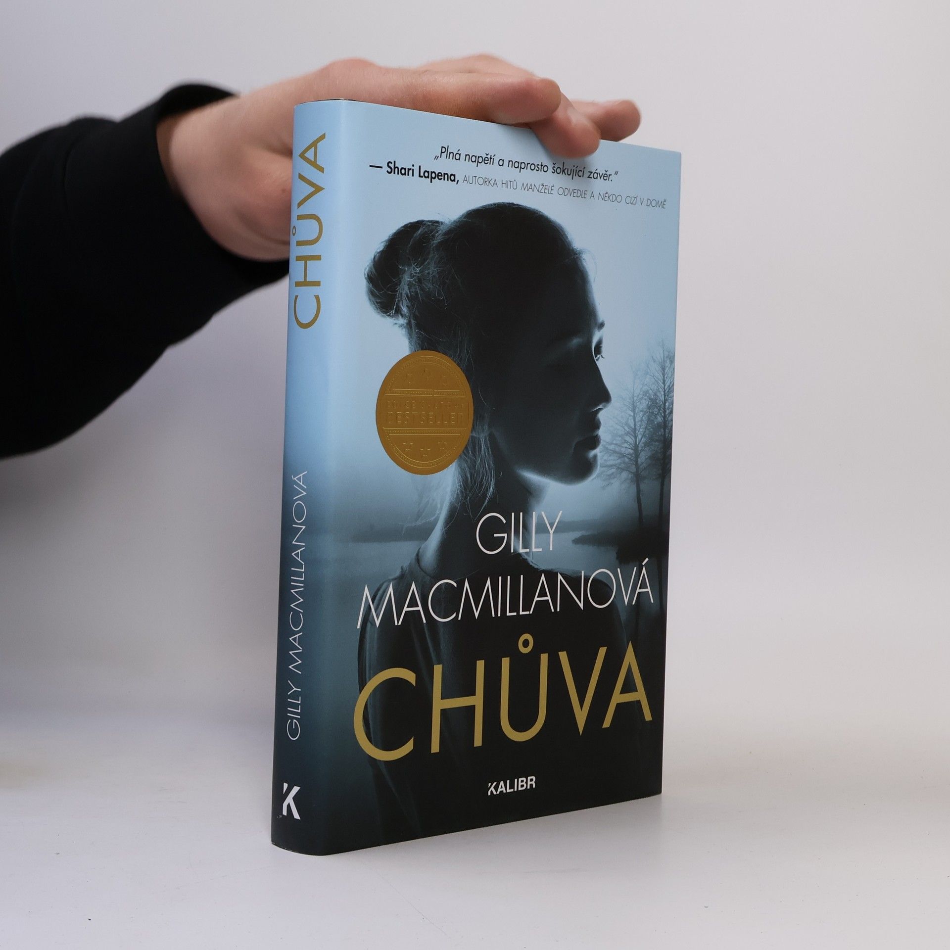 Gilly Macmillan Chůva