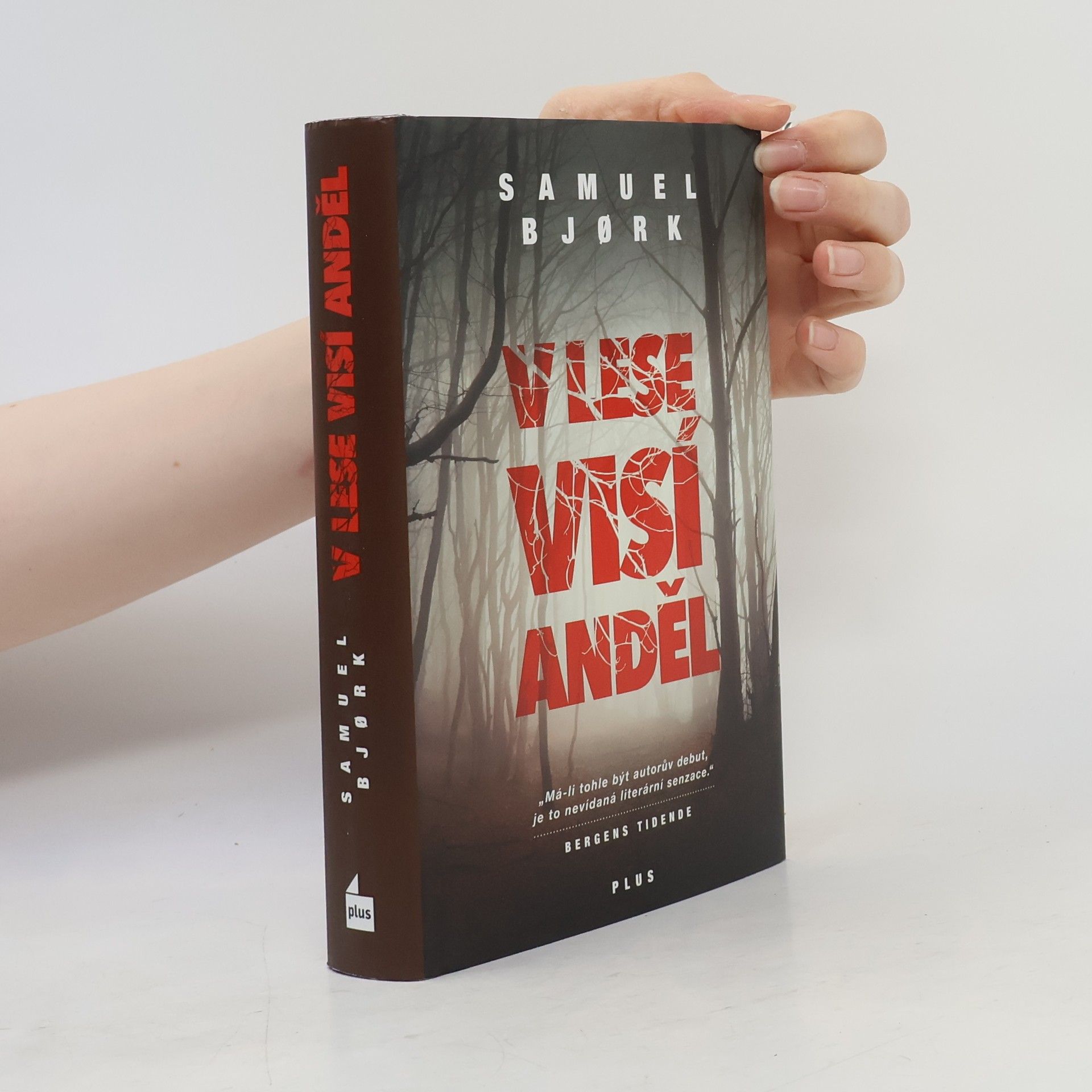 Samuel Bjork V lese visí anděl