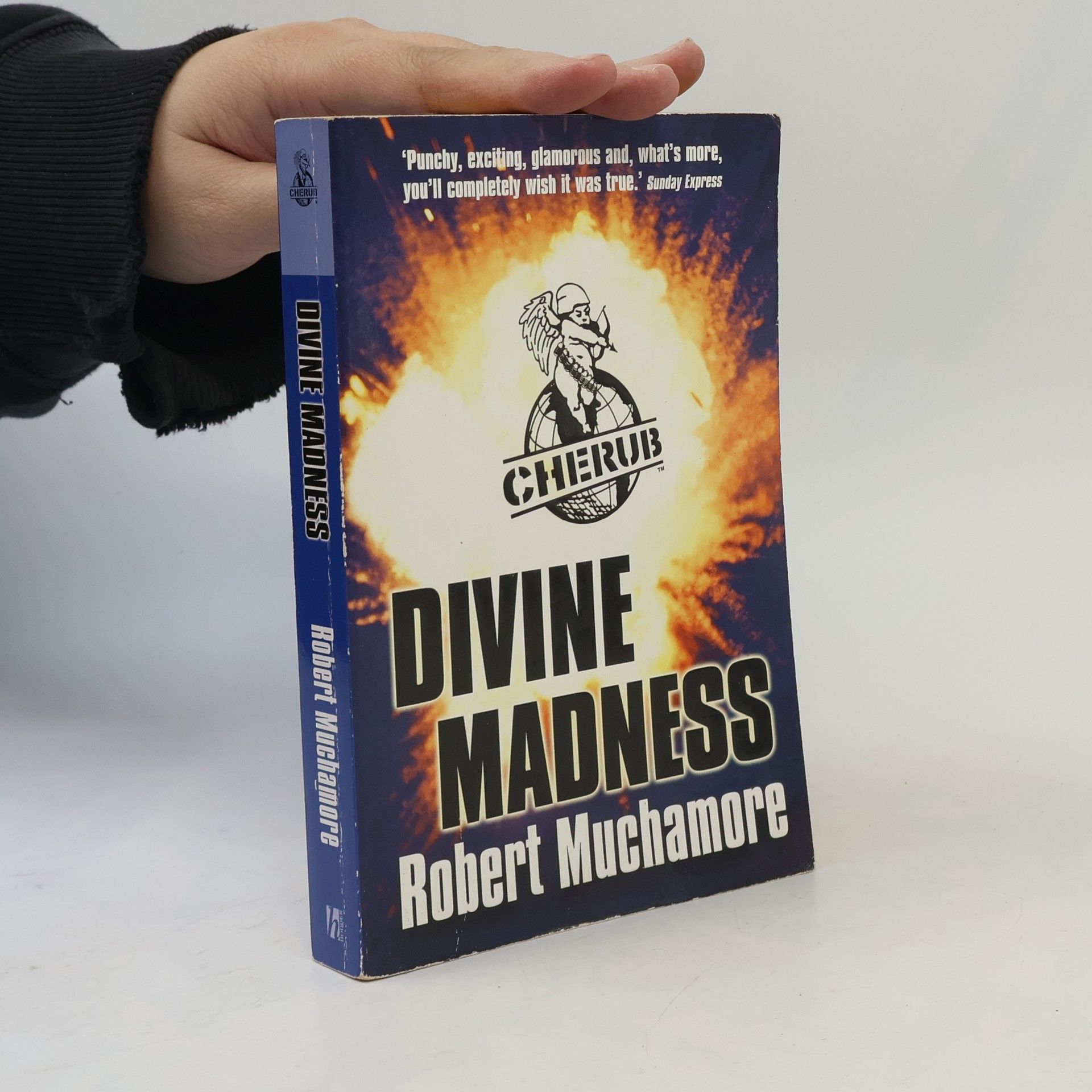 Robert Muchamore Divine madness