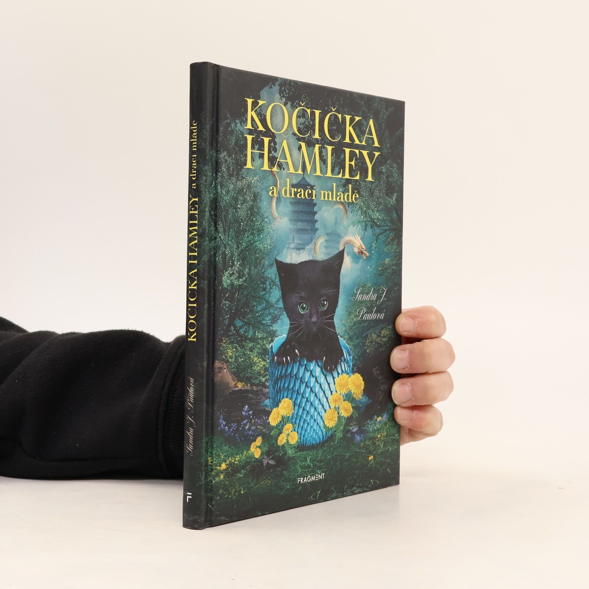 Sandra E Hockenbury Kočička Hamley a dračí mládě