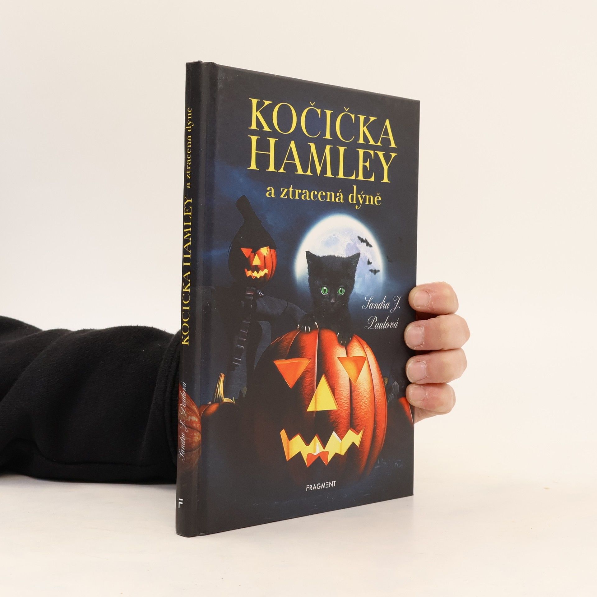 Sandra J. Paul Kočička Hamley a ztracená dýně