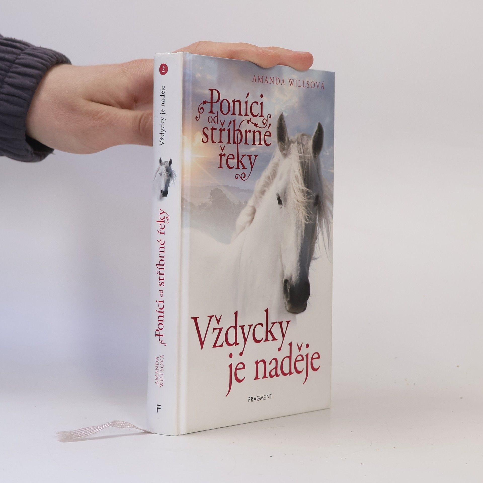 Amanda Wills Vždycky je naděje