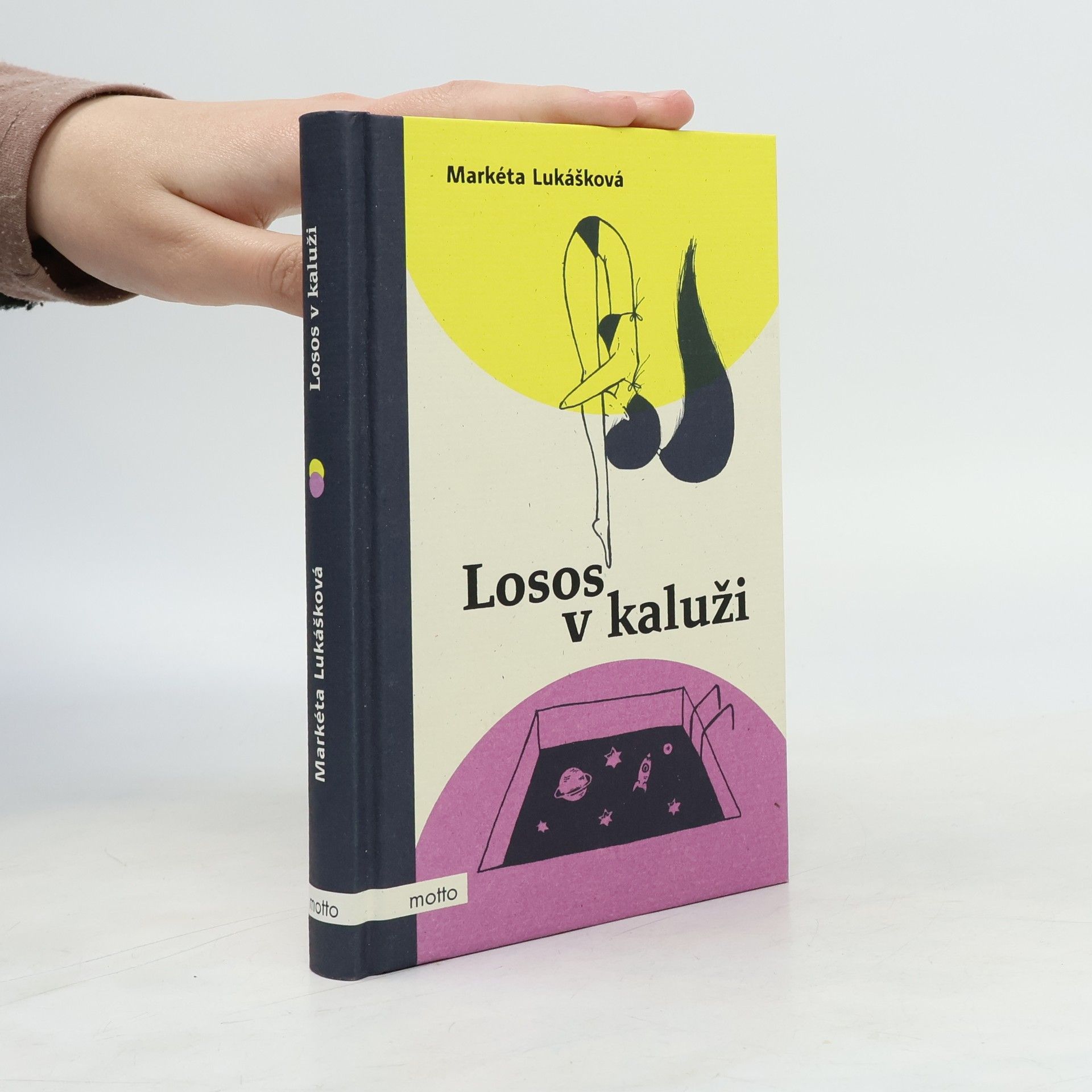 Markéta Lukášková Losos v kaluži