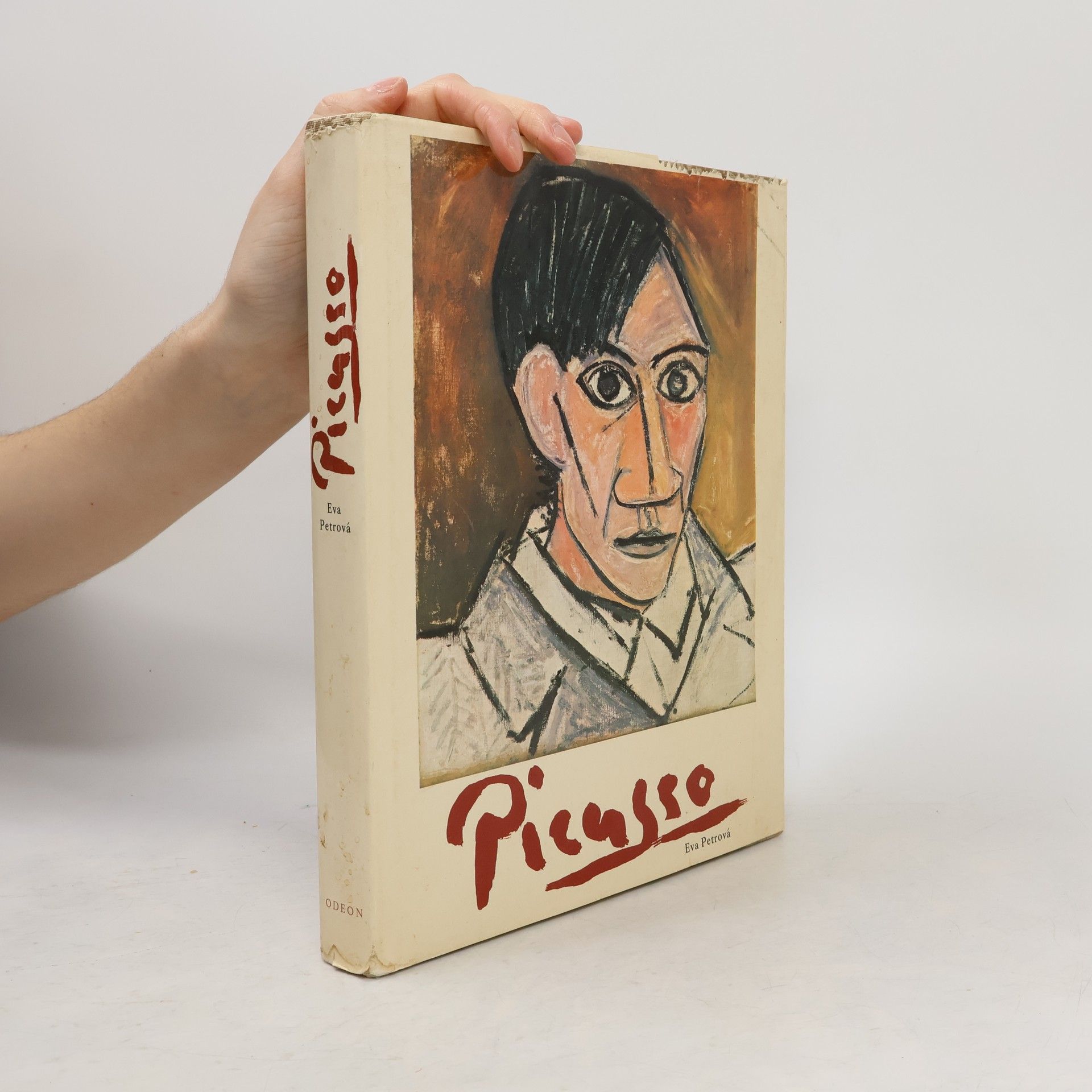 Eva Petrová Picasso