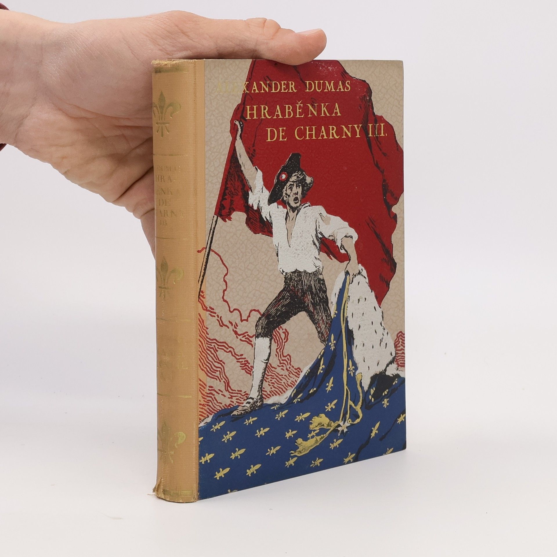 Alexandre Dumas der Ältere Hraběnka de Charny III.