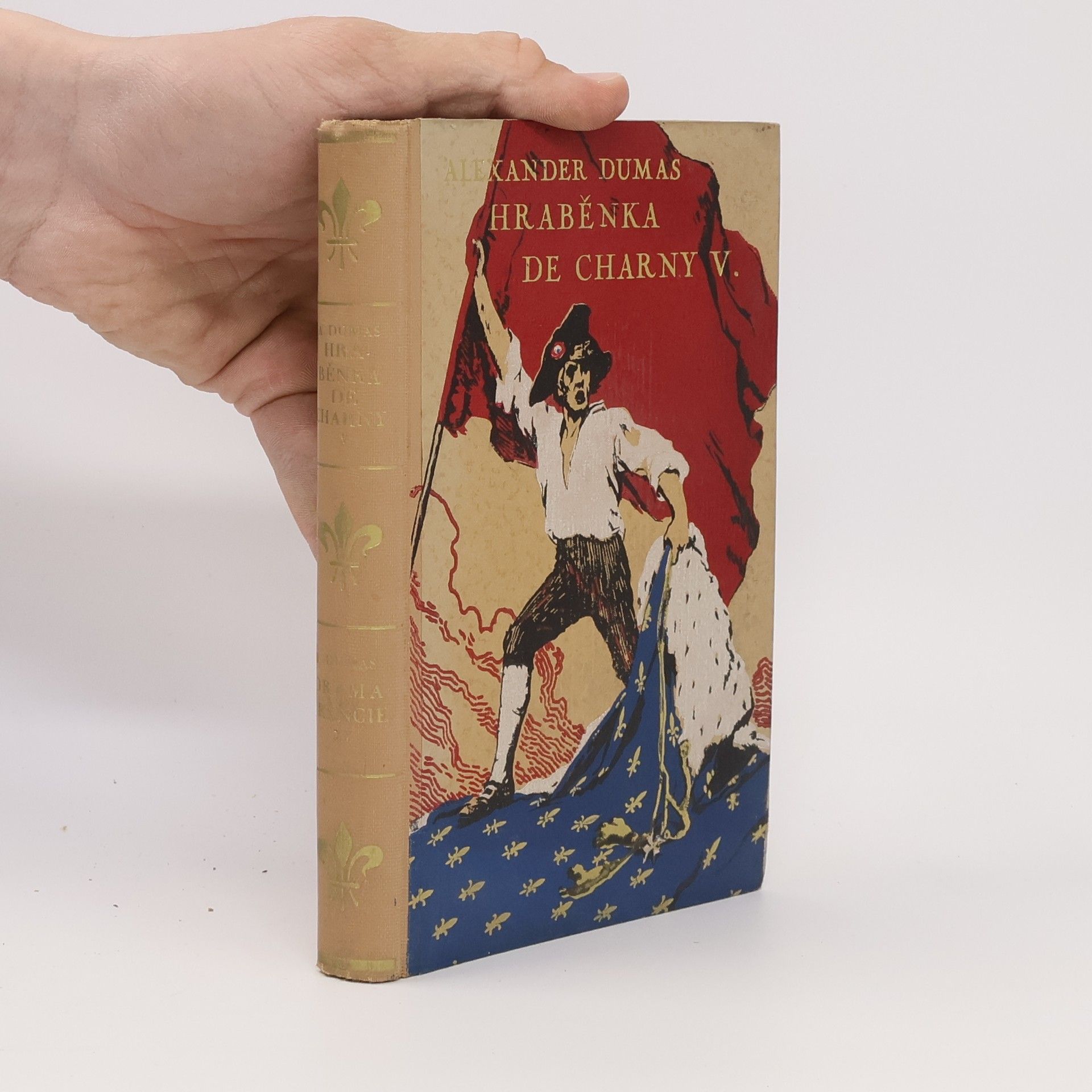 Alexandre Dumas Hraběnka de Charny V.