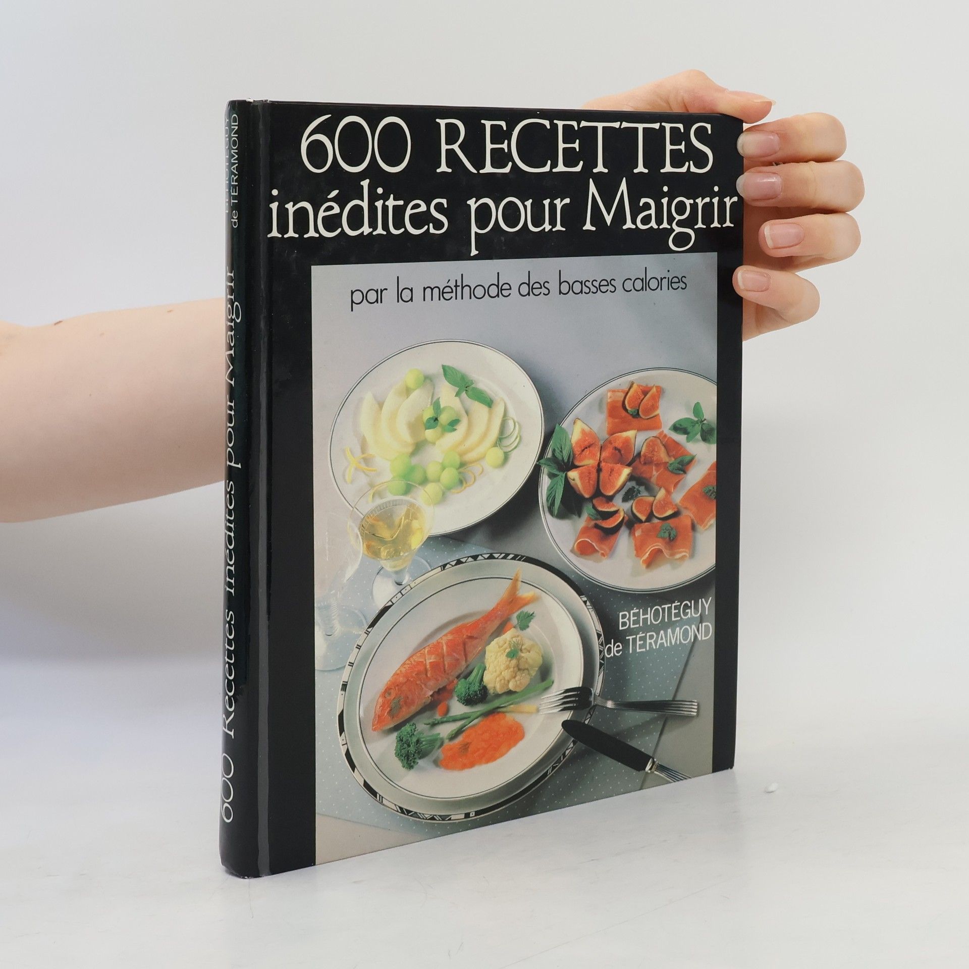 Béhotéguy de Téramond 600 recettes inédites pour maigrir
