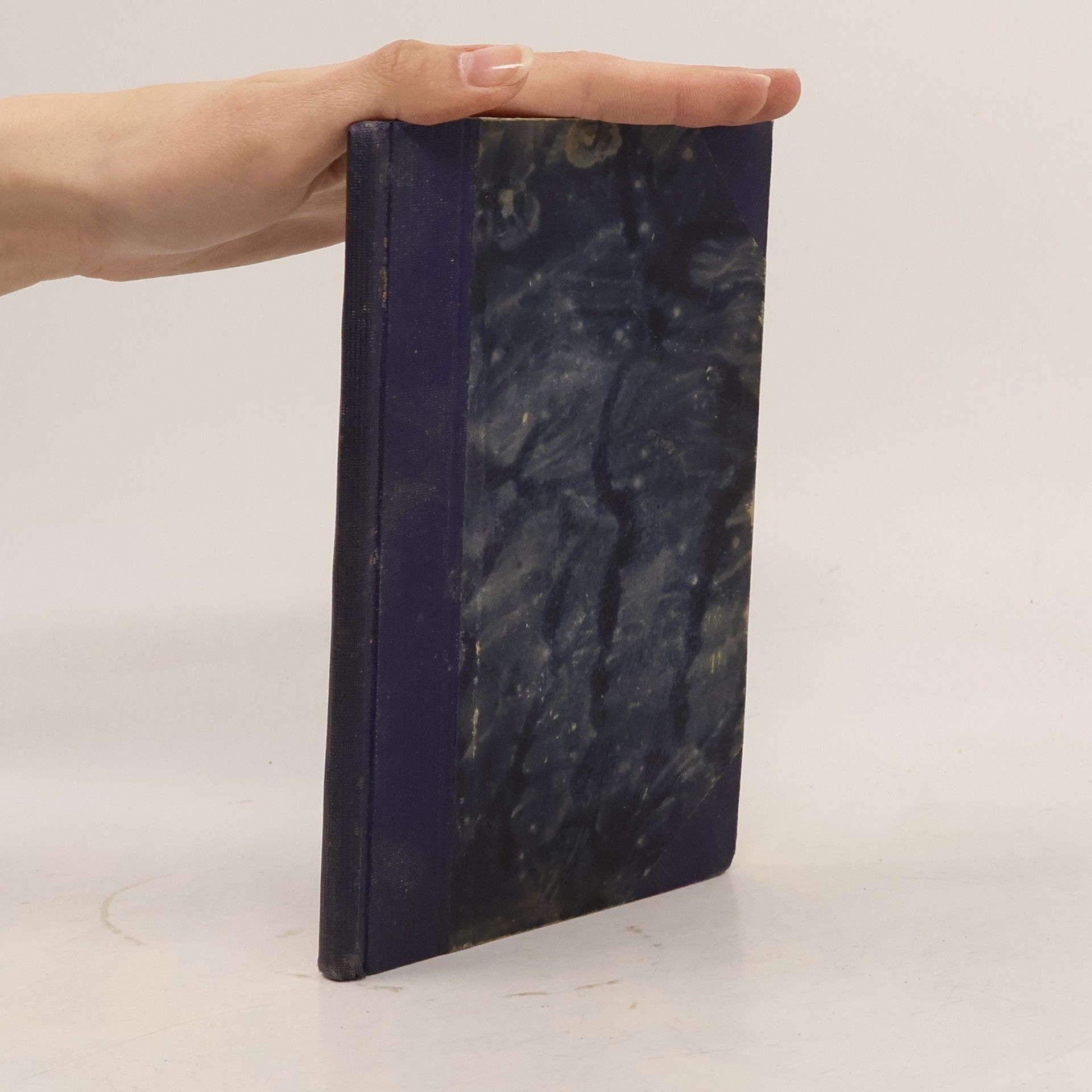 François Mauriac Polibek malomocnému