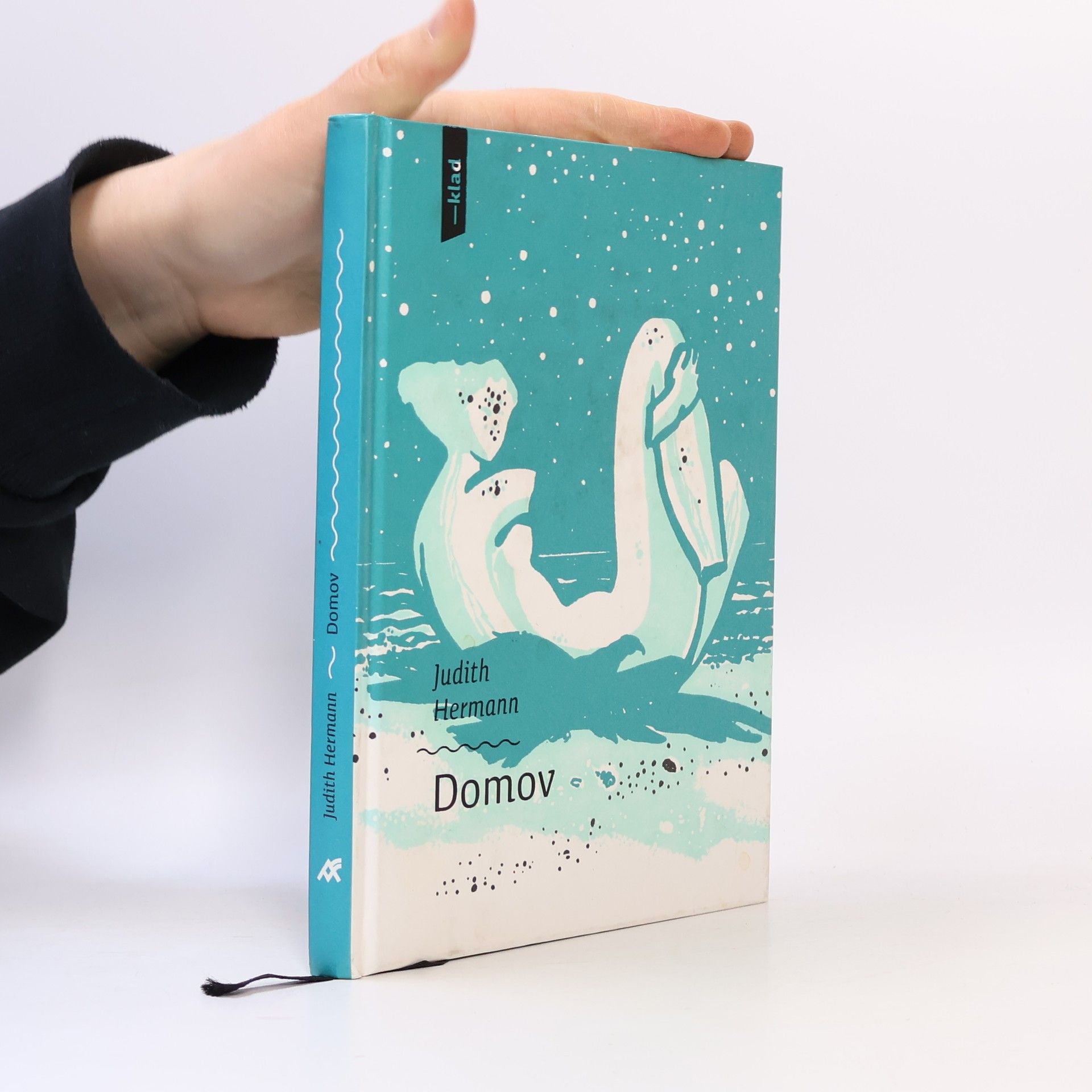 Judith Hermann Domov