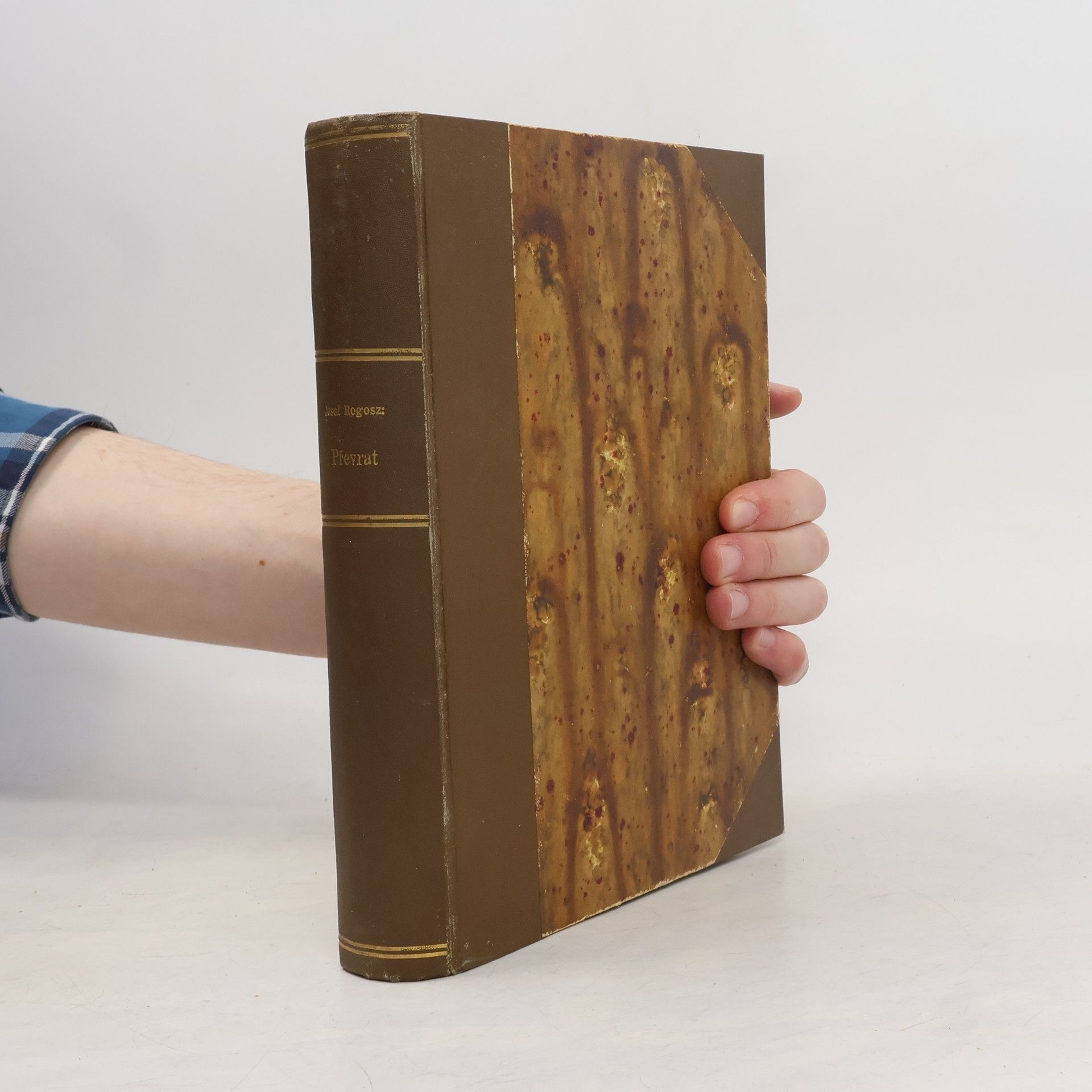 Josef Rogosz Převrat