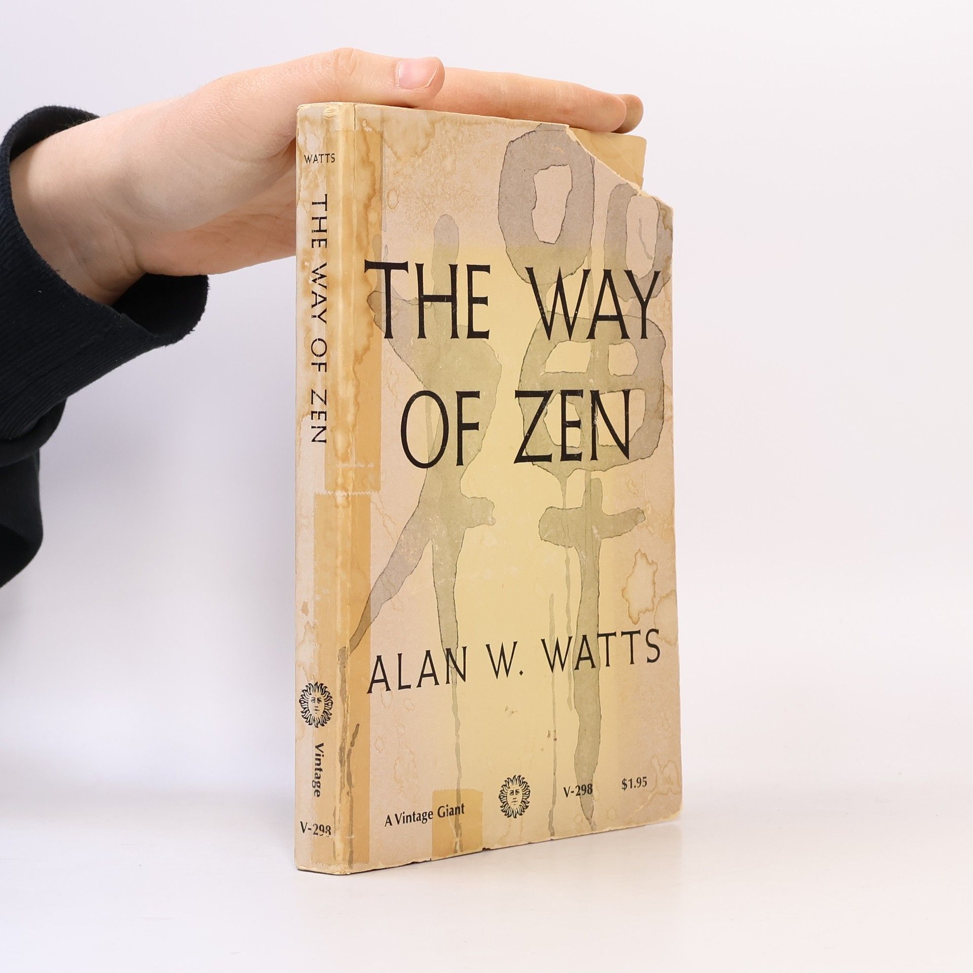 Alan Watts The Way of Zen