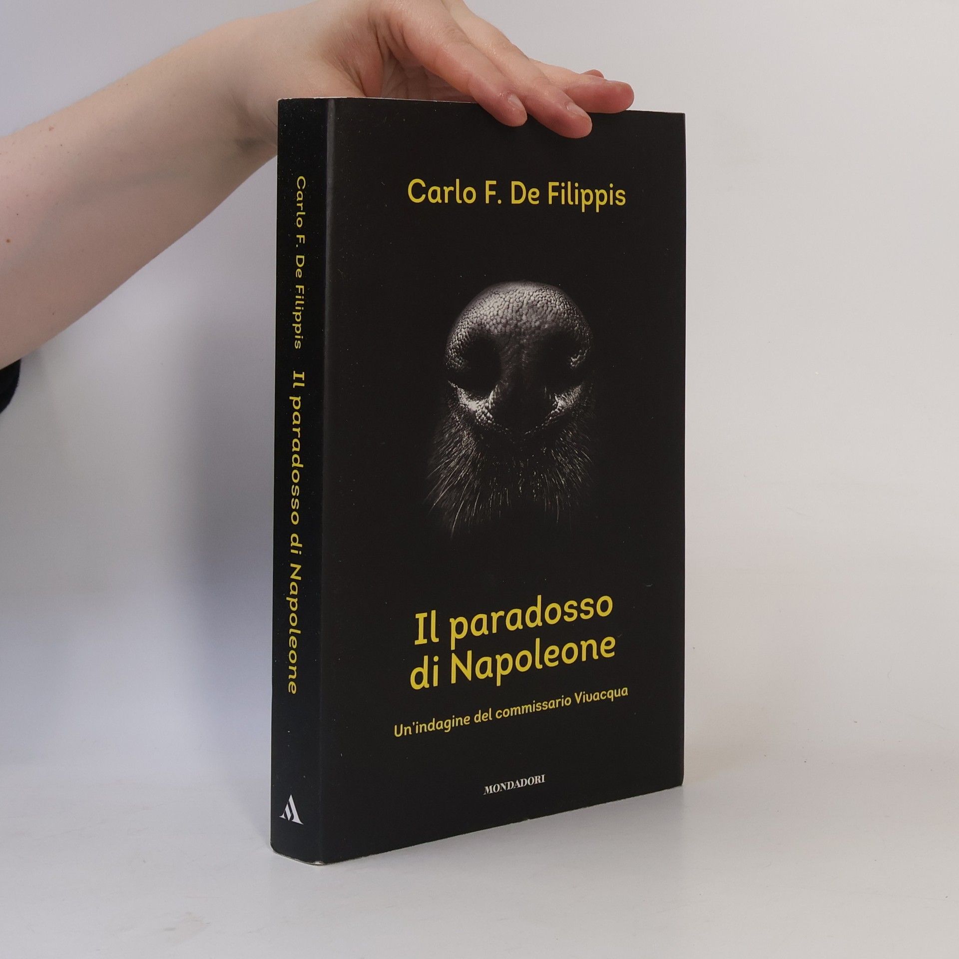 Carlo F. De Filippis Il paradosso di Napoleone. Un'indagine del commissario Vivacqua