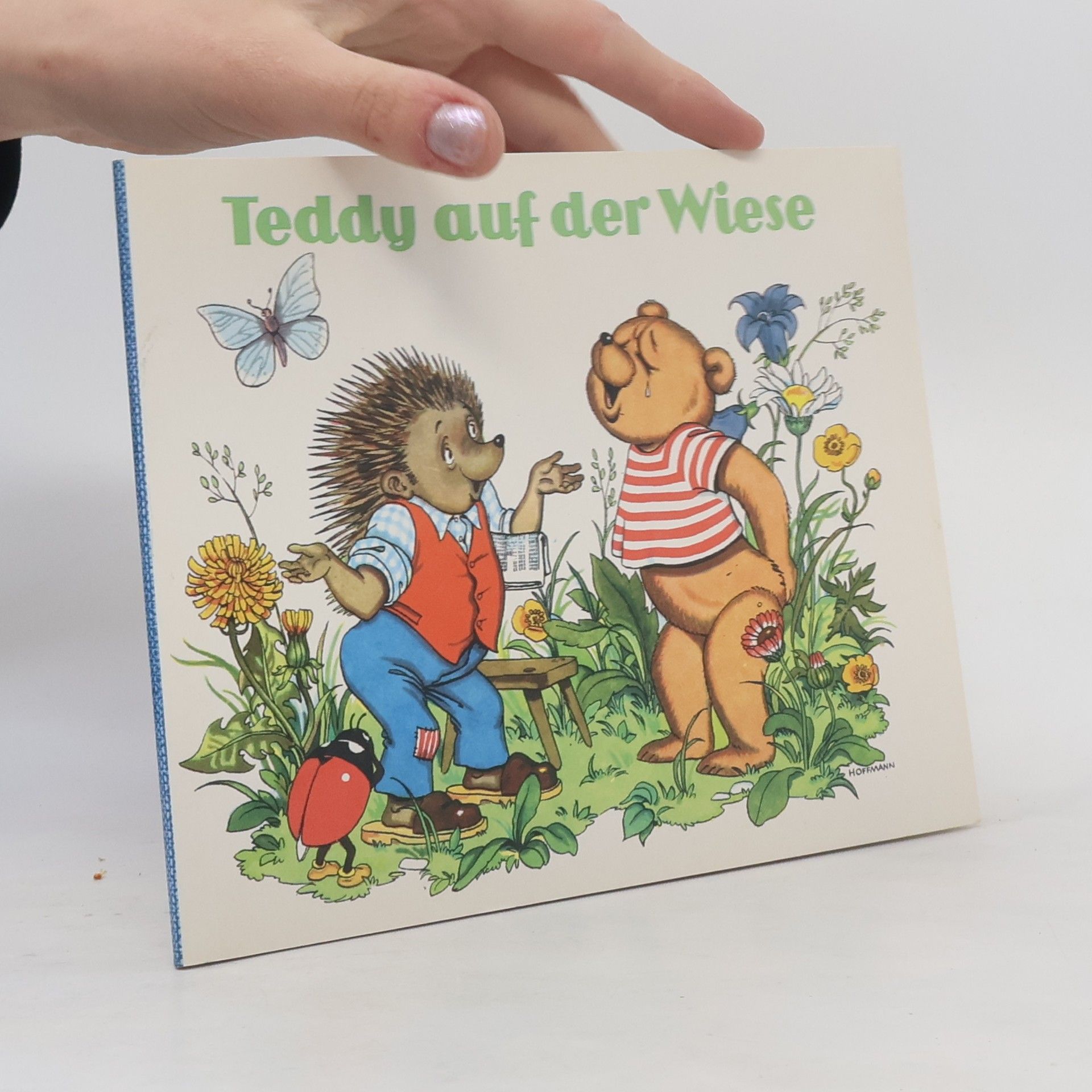 Auteurscollectief Teddy auf der Wiese