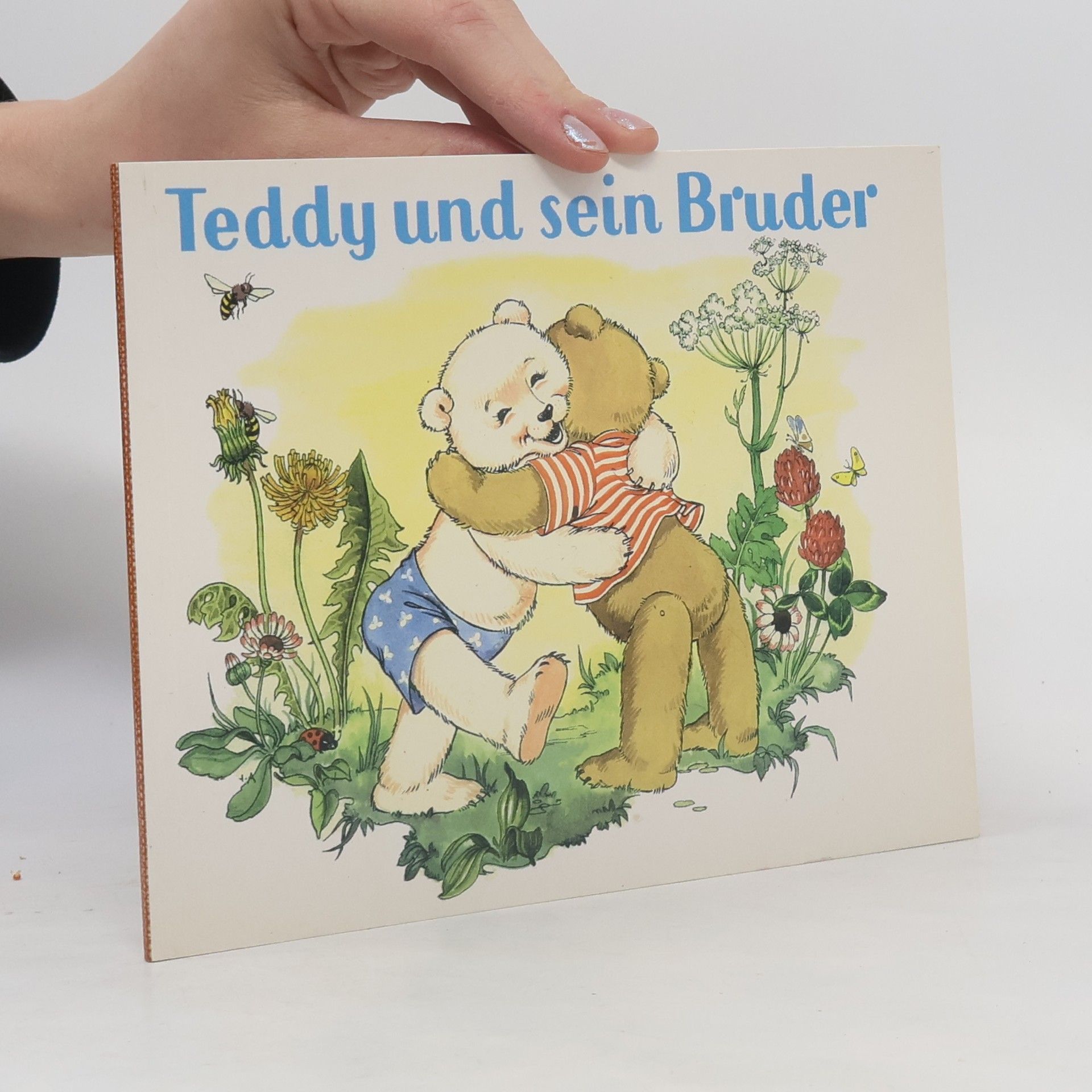 Anny Hoffmann Teddy und sein Bruder