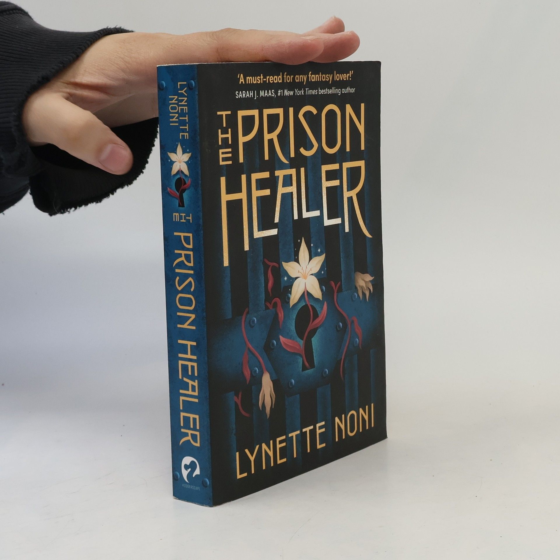 Lynette Noni The Prison Healer
