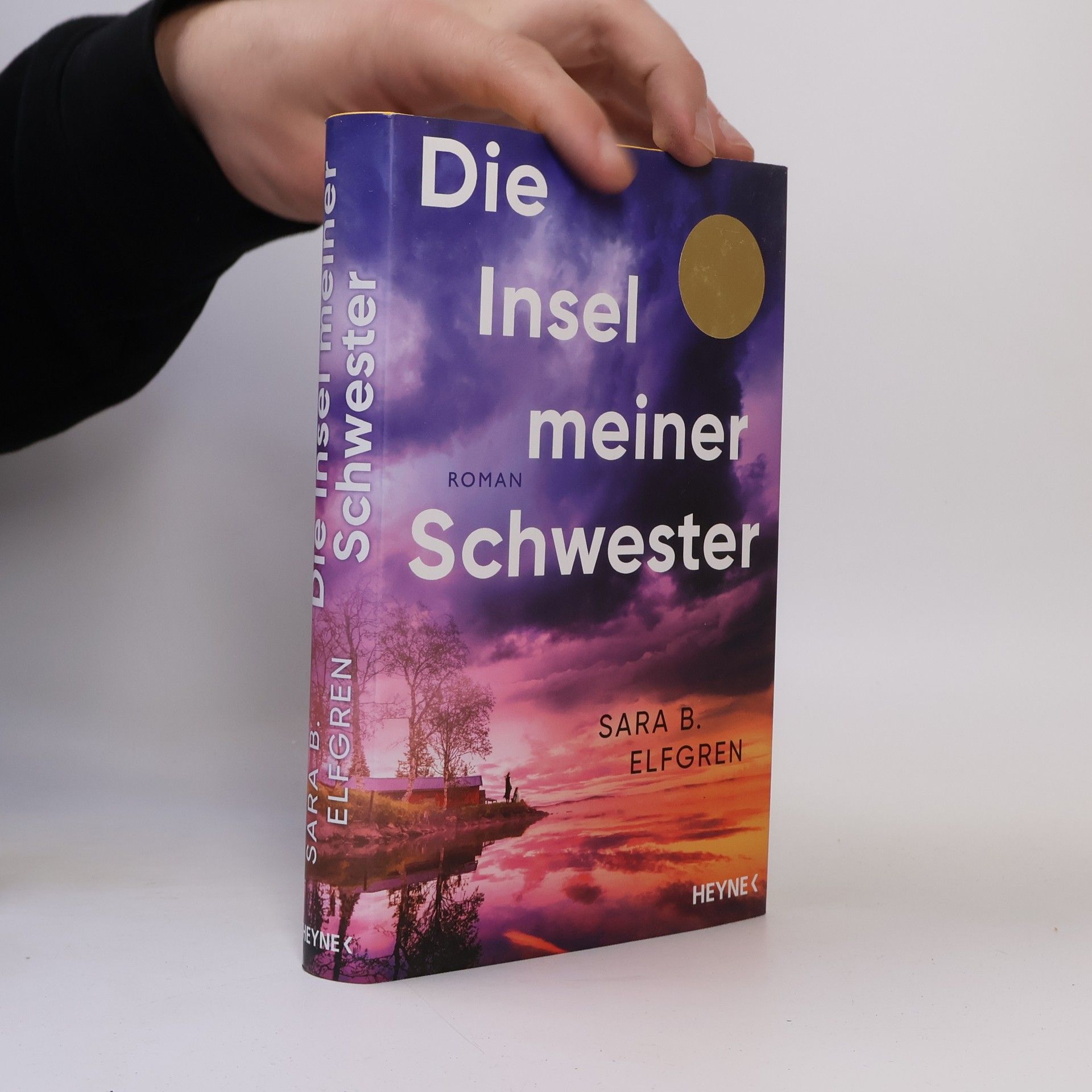 Sara B. Elfgren Die Insel meiner Schwester