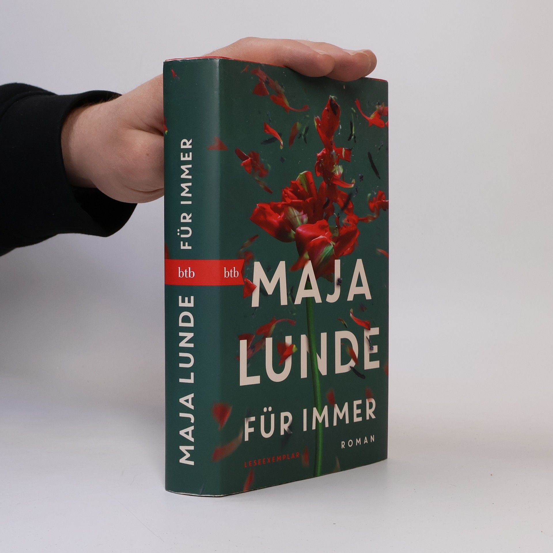 Maja Lunde Für immer