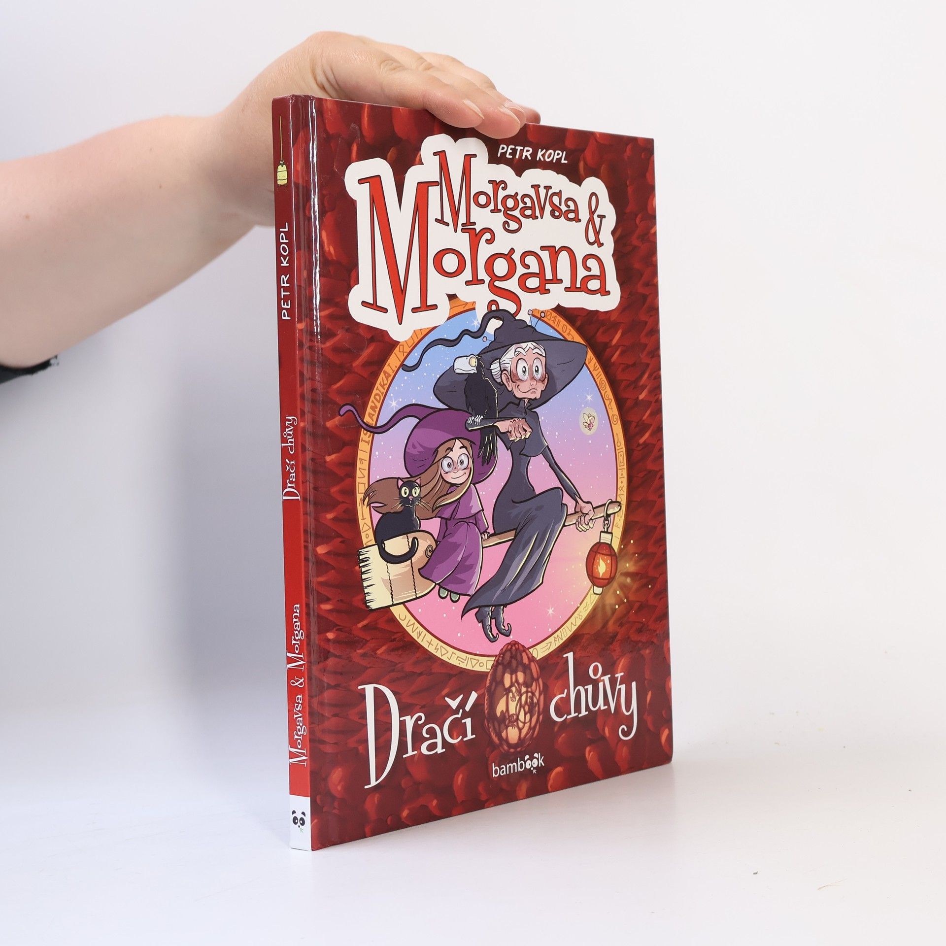 Petr Kopl Morgavsa a Morgana - Dračí chůvy