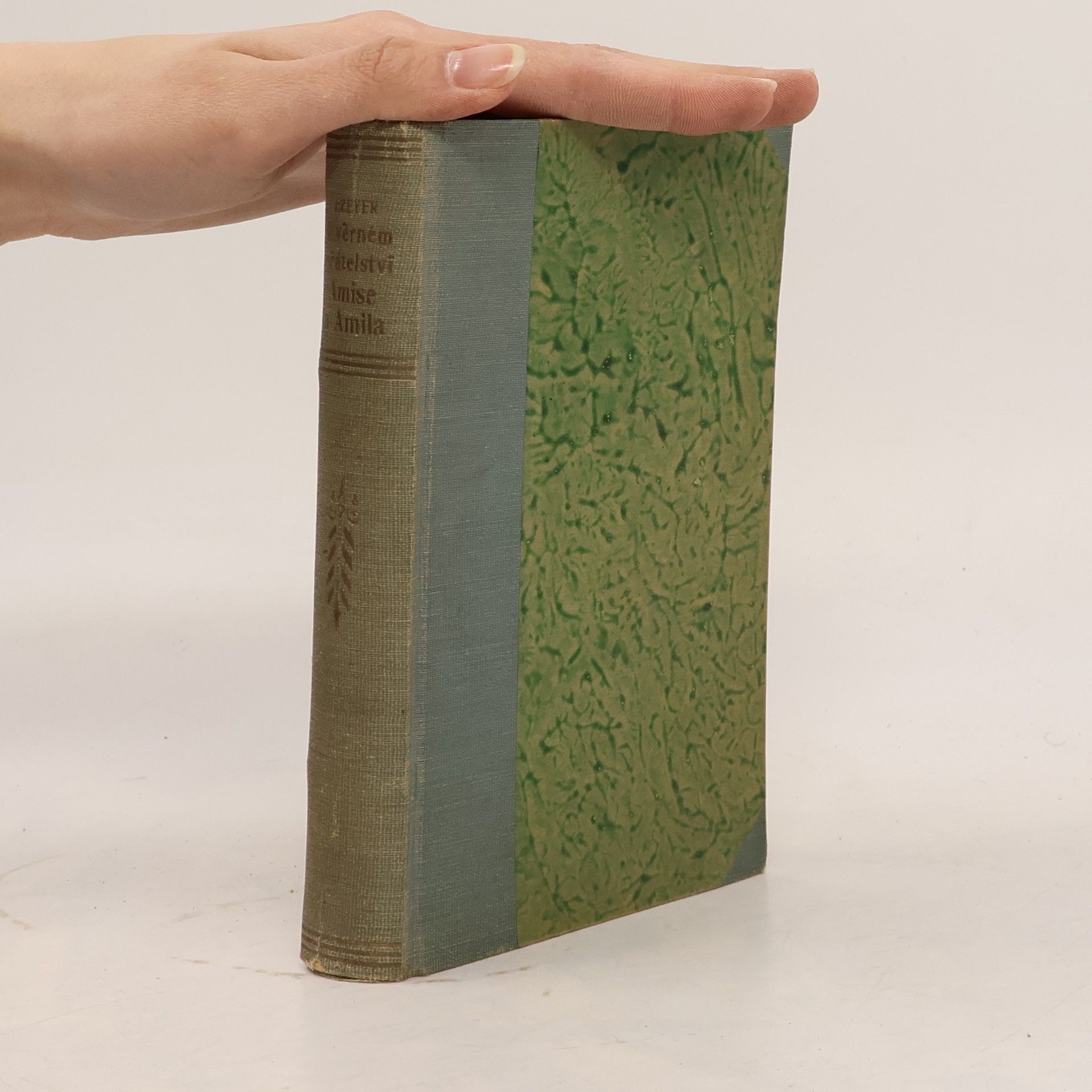 Román o věrném přátelství Amise a Amila