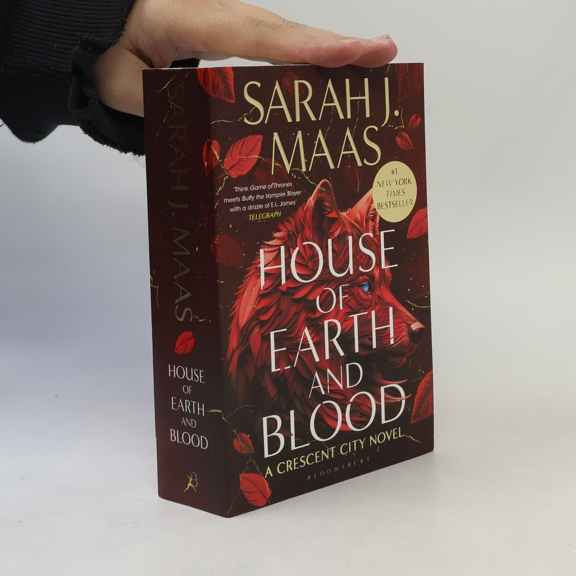 Sarah J. Maas House of Earth and Blood