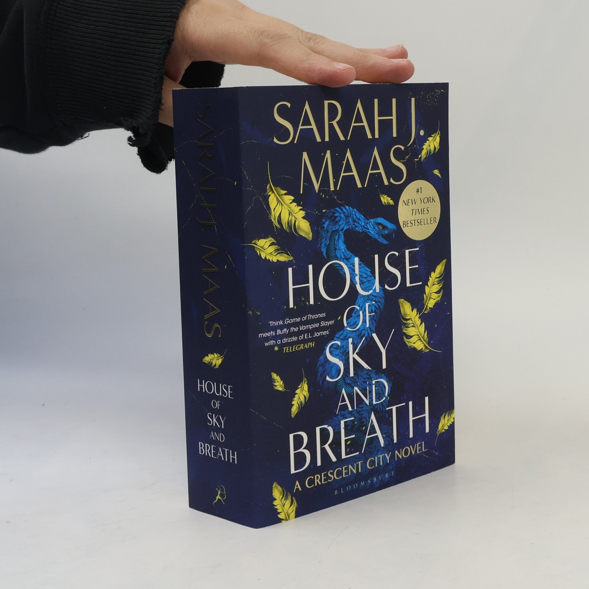 Sarah J. Maas House of Sky and Breath