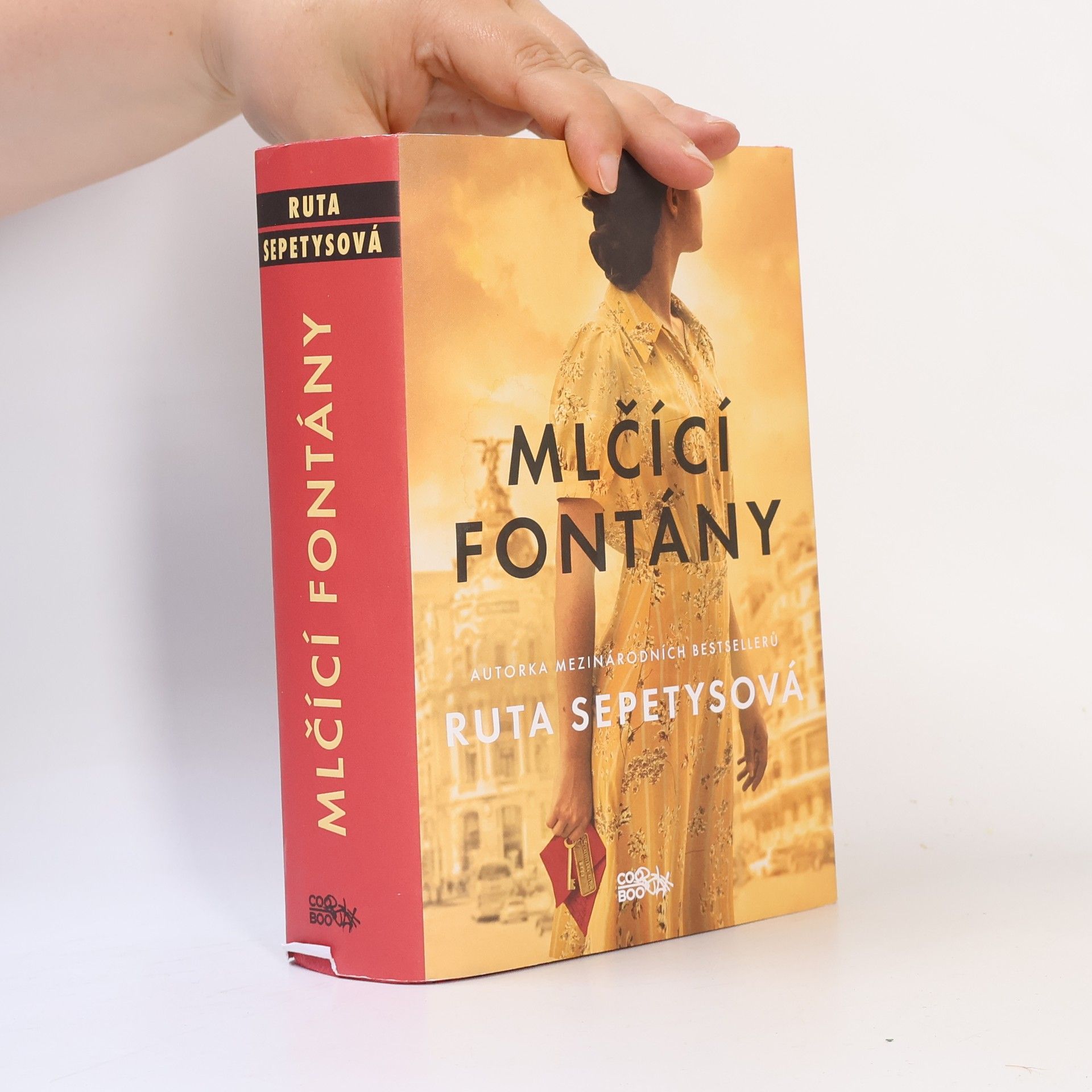 Ruta Sepetysová Mlčící fontány