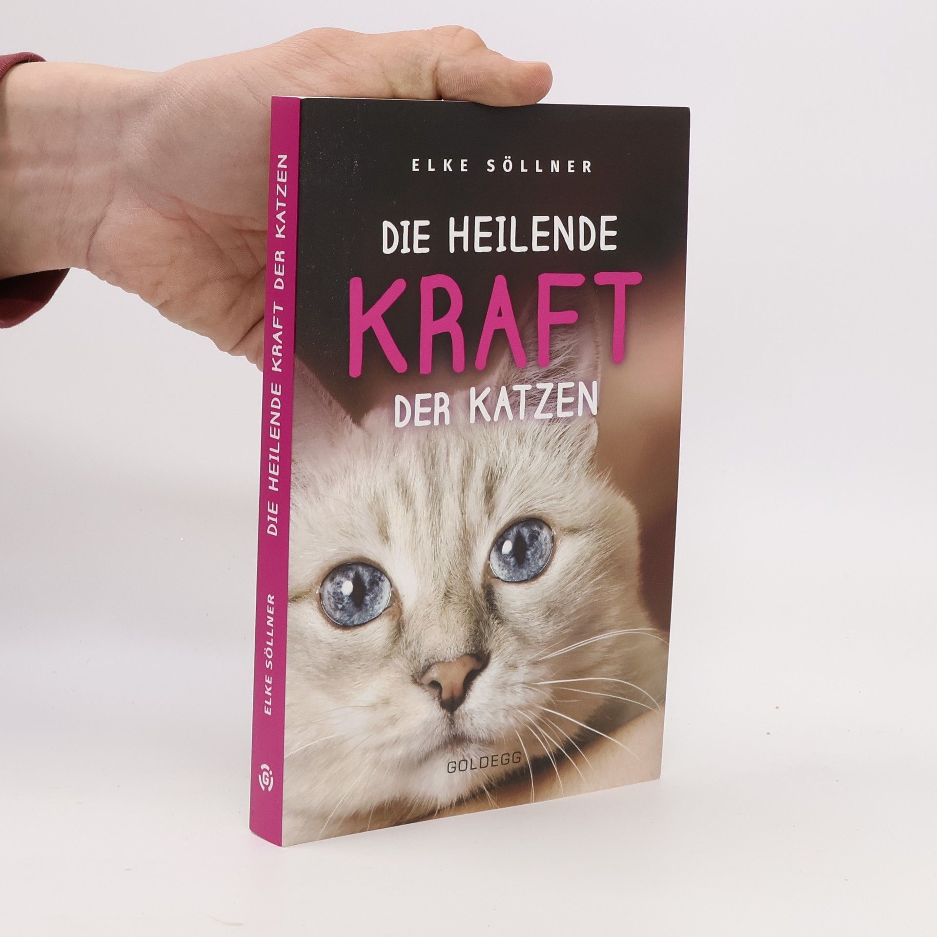 Die heilende Kraft der Katzen