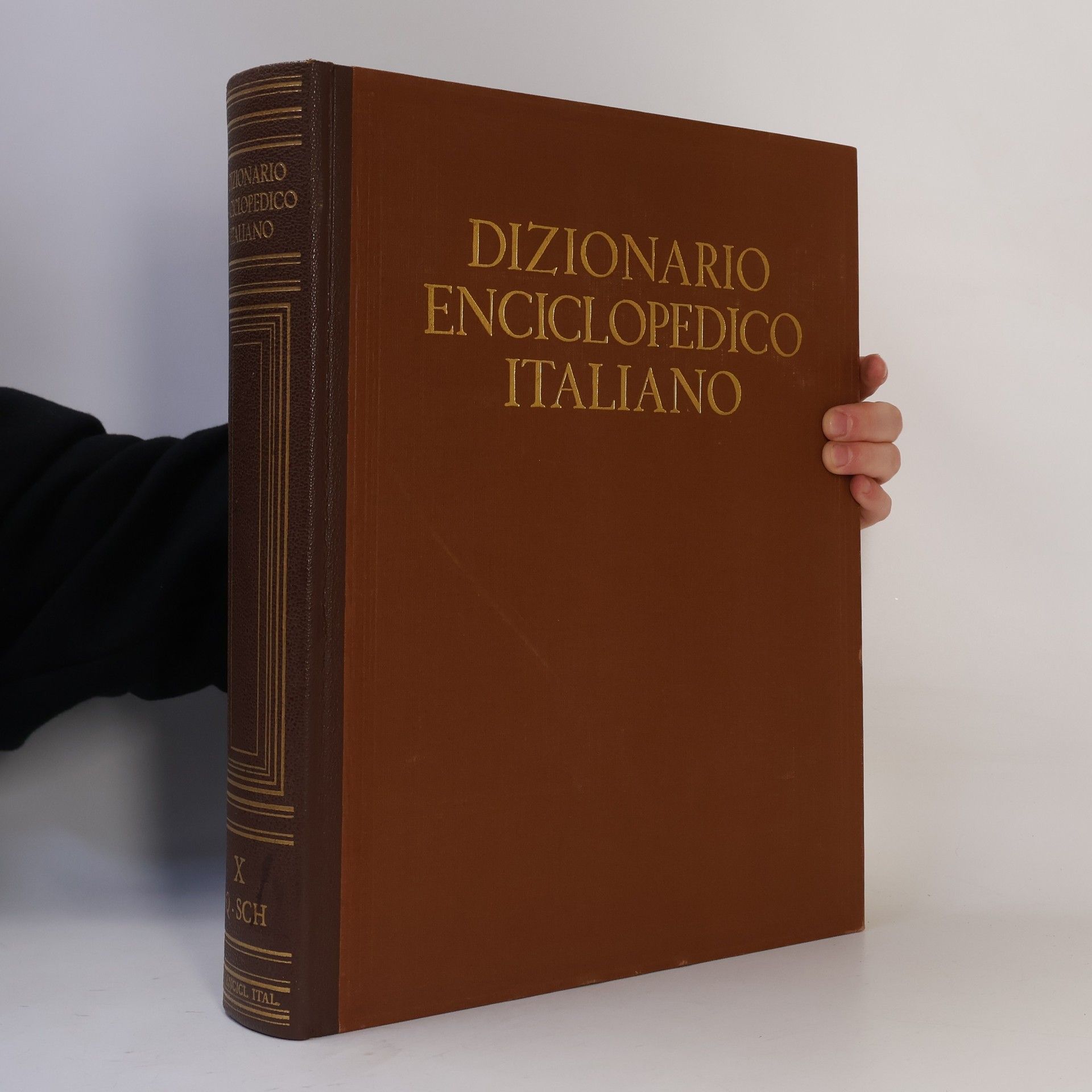 Various authors Dizionario enciclopedico Italiano X.
