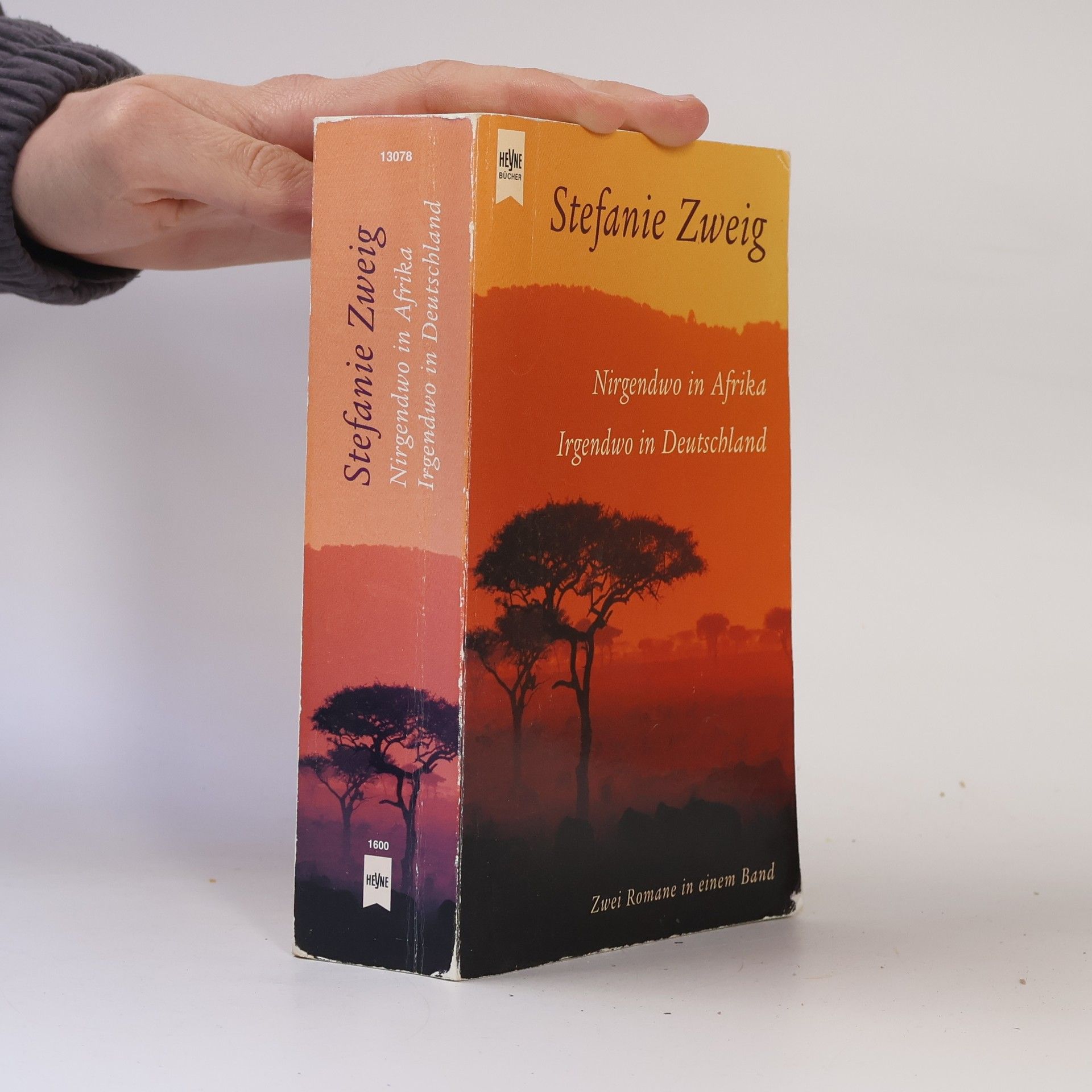 Stefanie Zweig Nirgendwo in Afrika