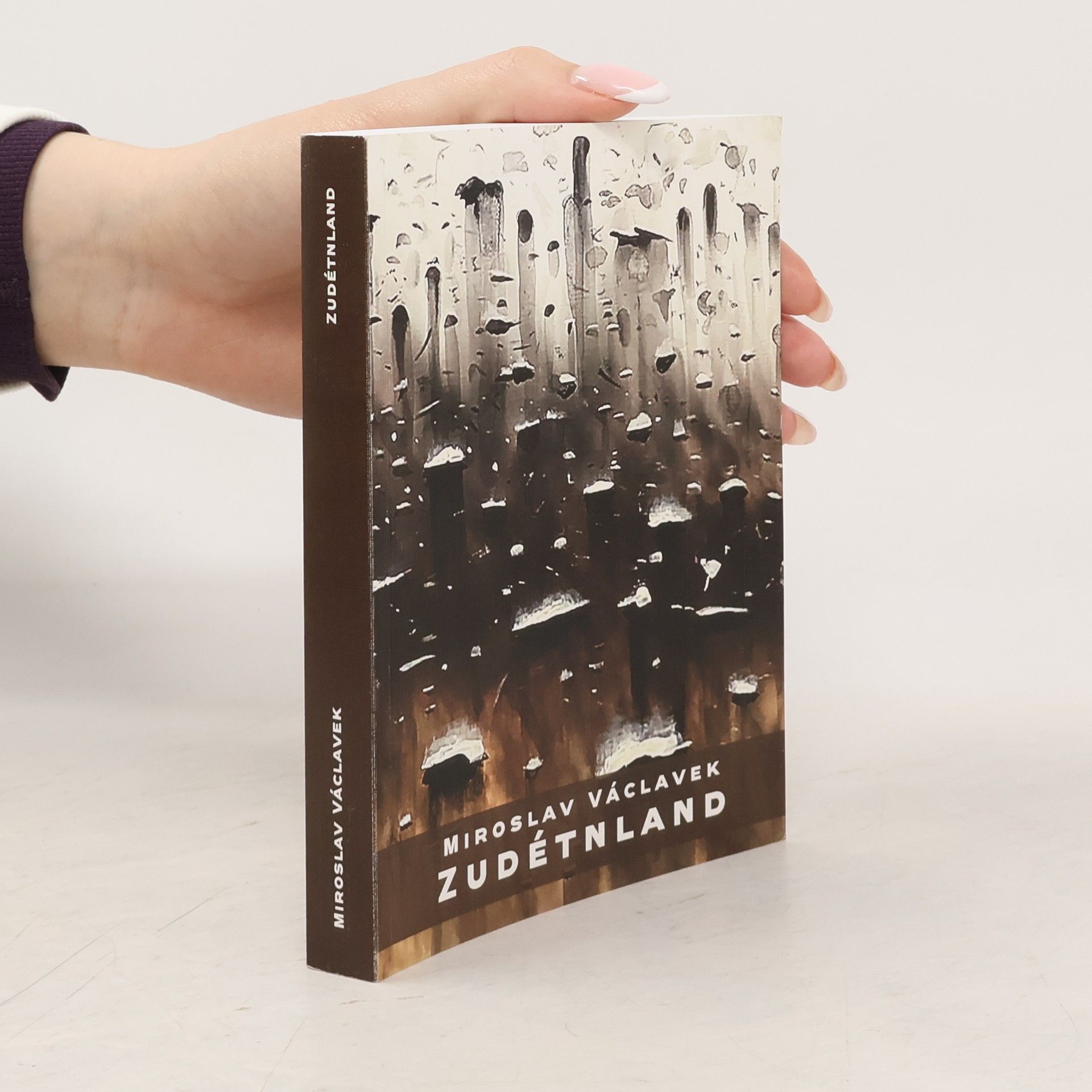 Miroslav Václavek Zudétnland