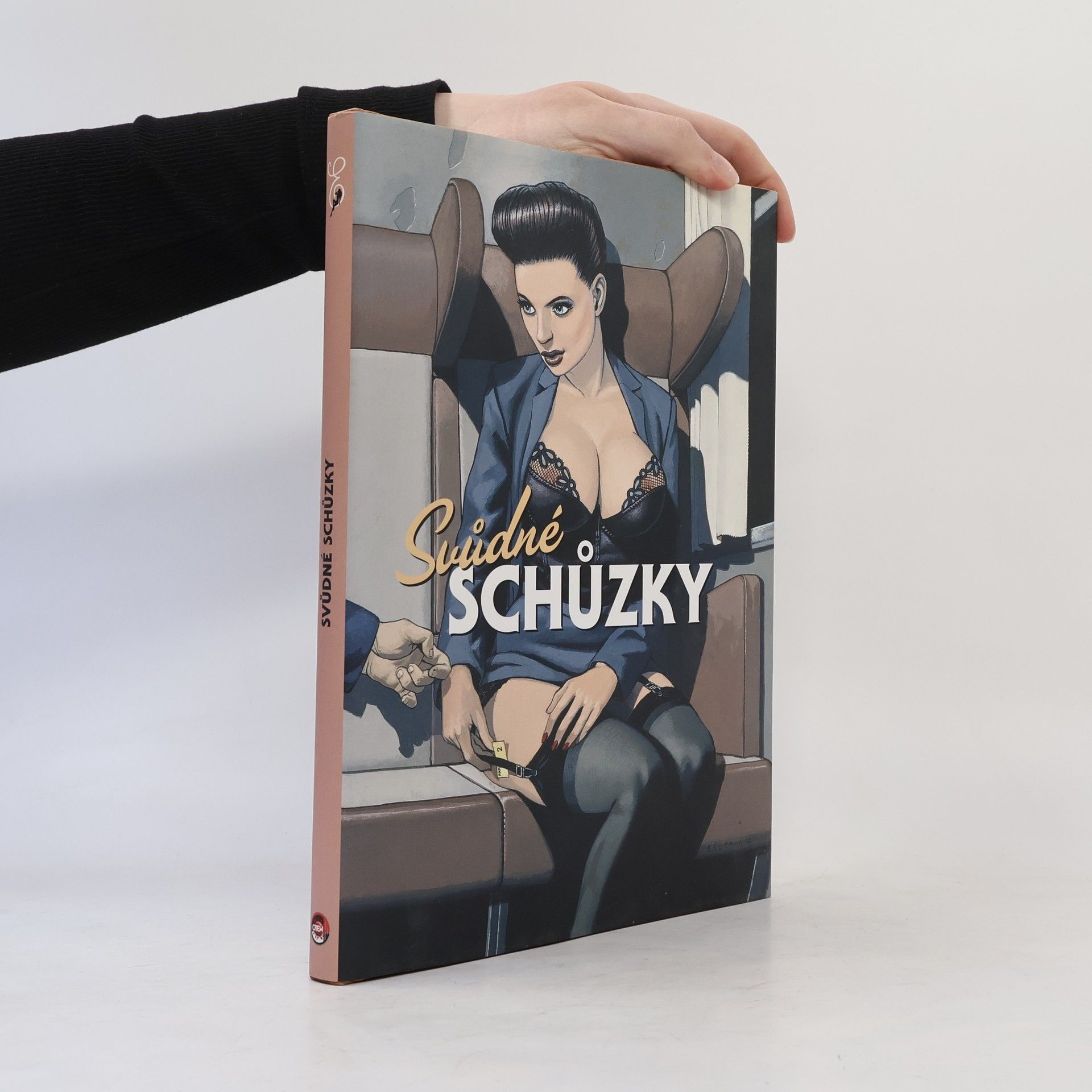 Kolektív autorov Svůdné schůzky