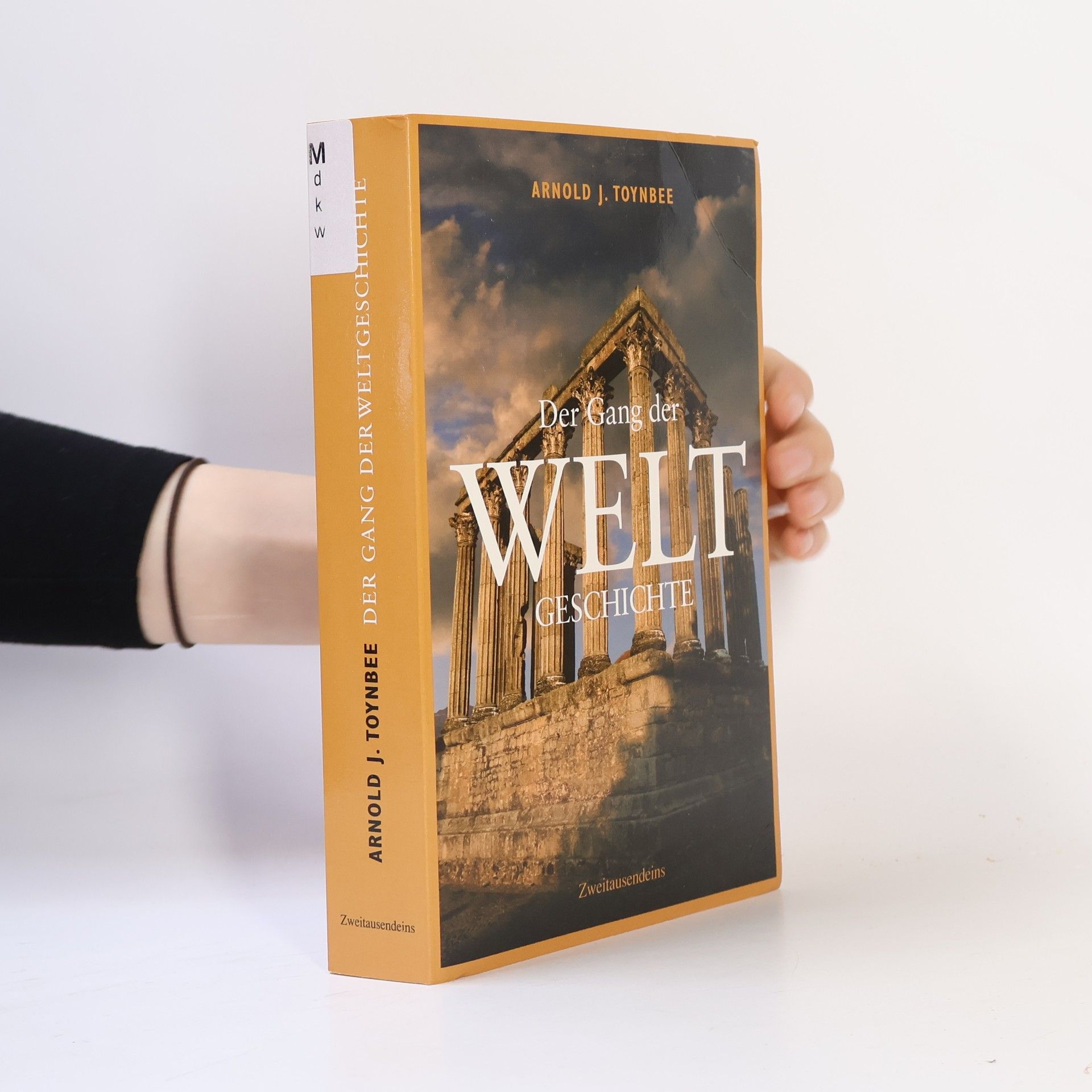 Arnold J. Toynbee Der Gang der Weltgeschichte