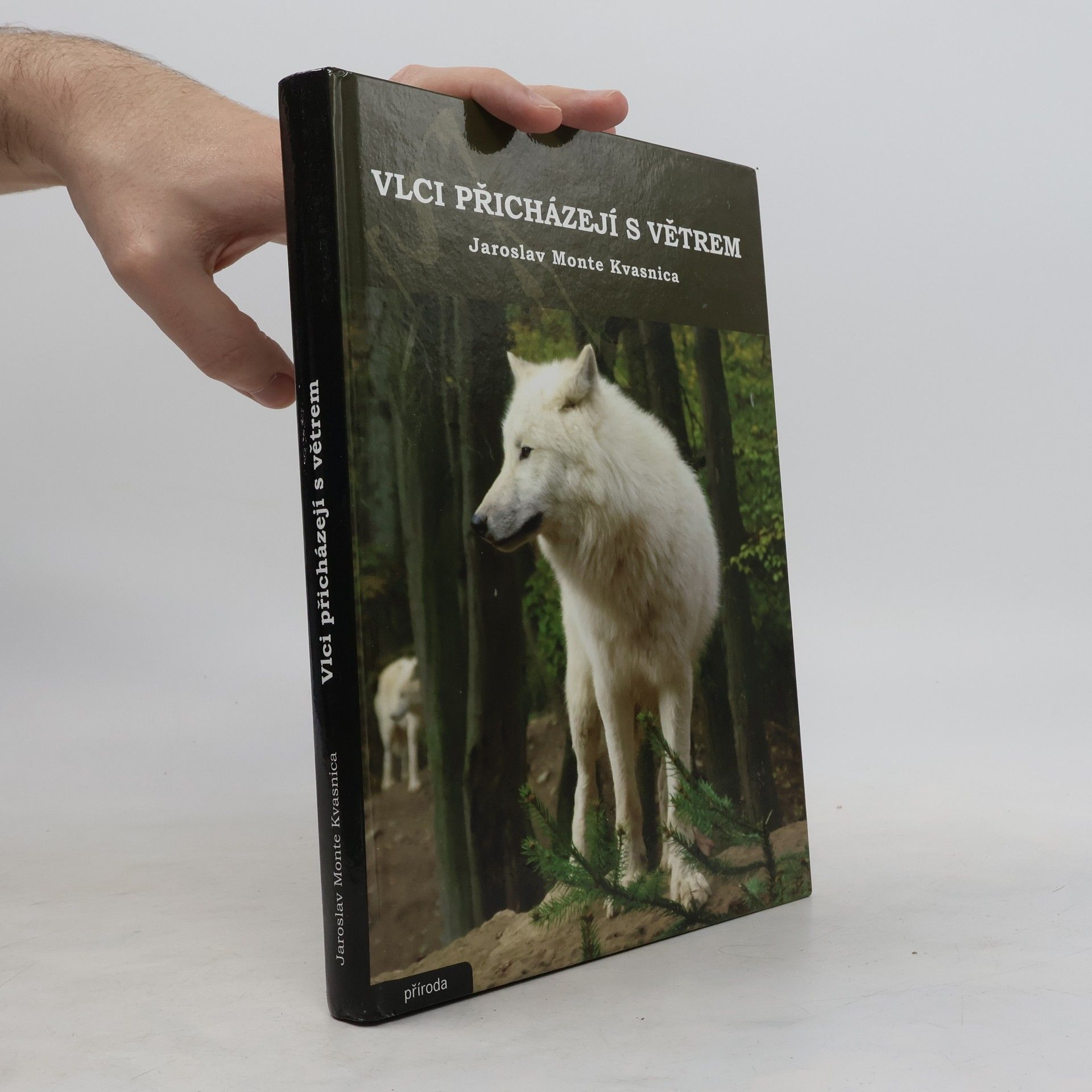 Jaroslav Kvasnica Vlci přicházejí s větrem