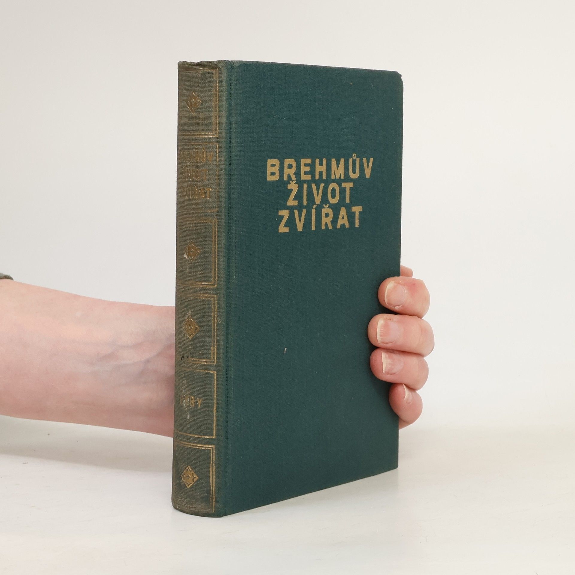 Adolf Meyer Brehmův život zívřat XXXI. Ryby