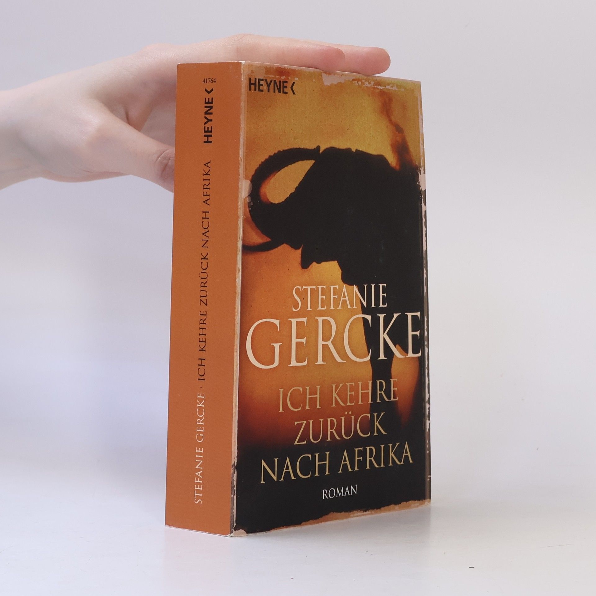 Stefanie Gercke Ich kehre zurück nach Afrika