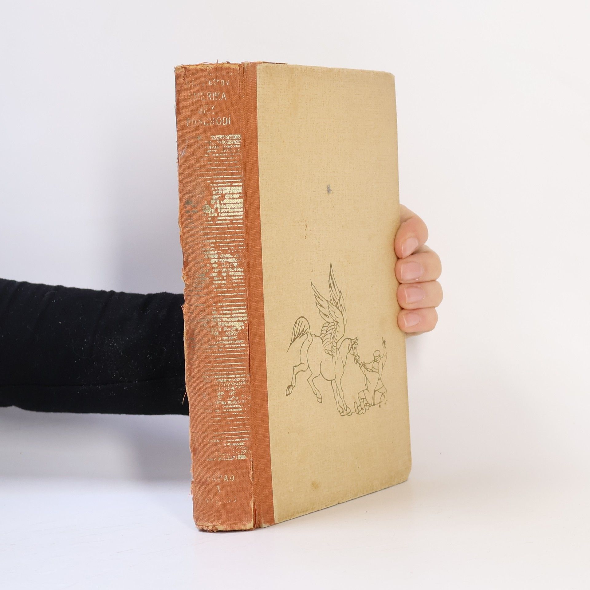 Jevgeij Petrov Amerika bez poschodí. Jednopatrová Amerika