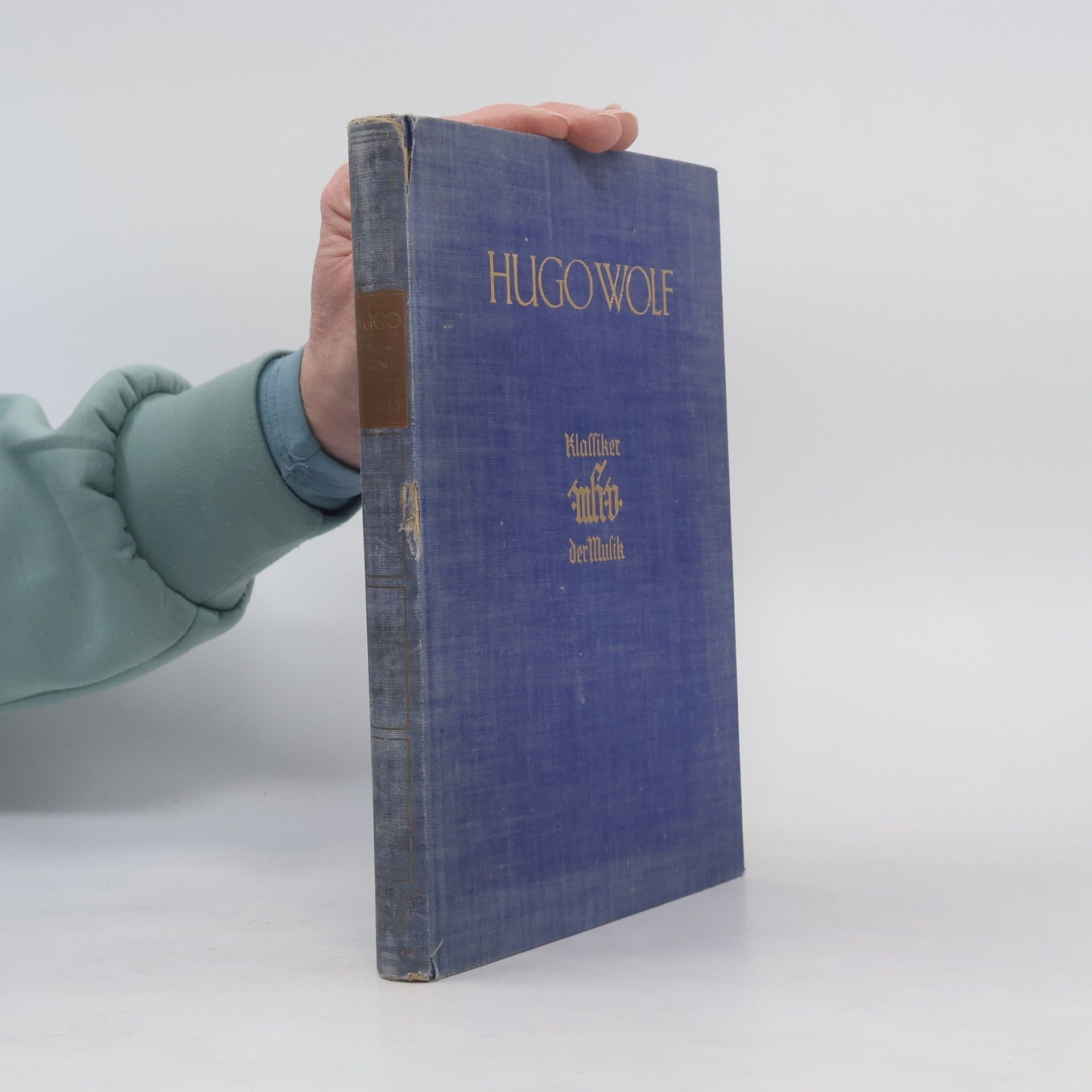 Hugo Wolf. Das Leben und das Lied 