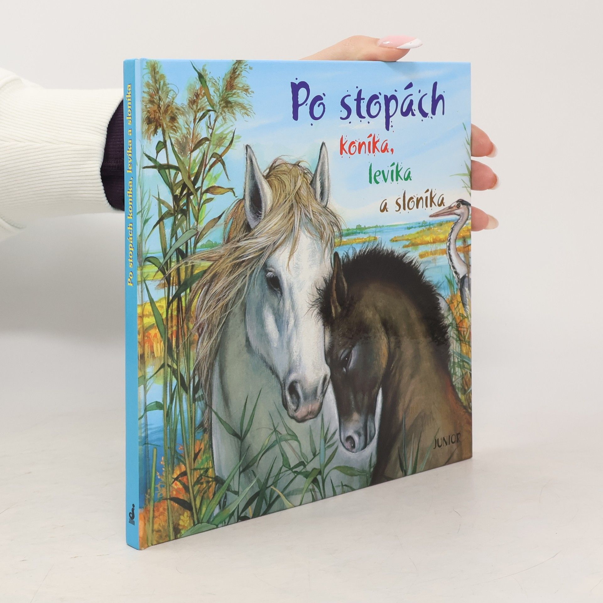 Yves Doumont Po stopách koníka, levíka a sloníka