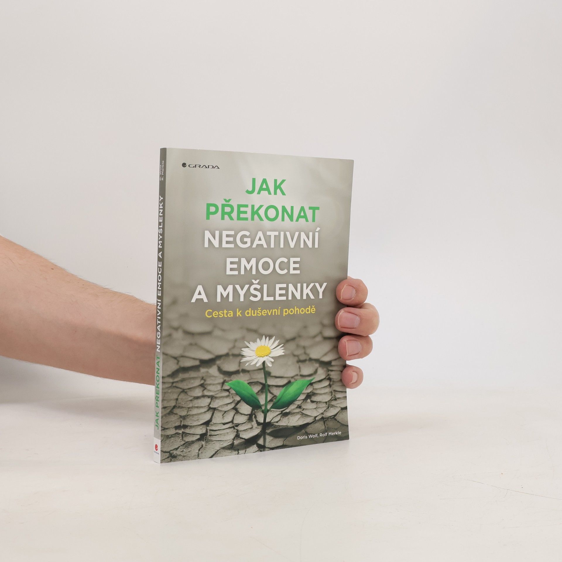 Rolf Merkle Jak překonat negativní emoce a myšlenky : cesta k duševní pohodě