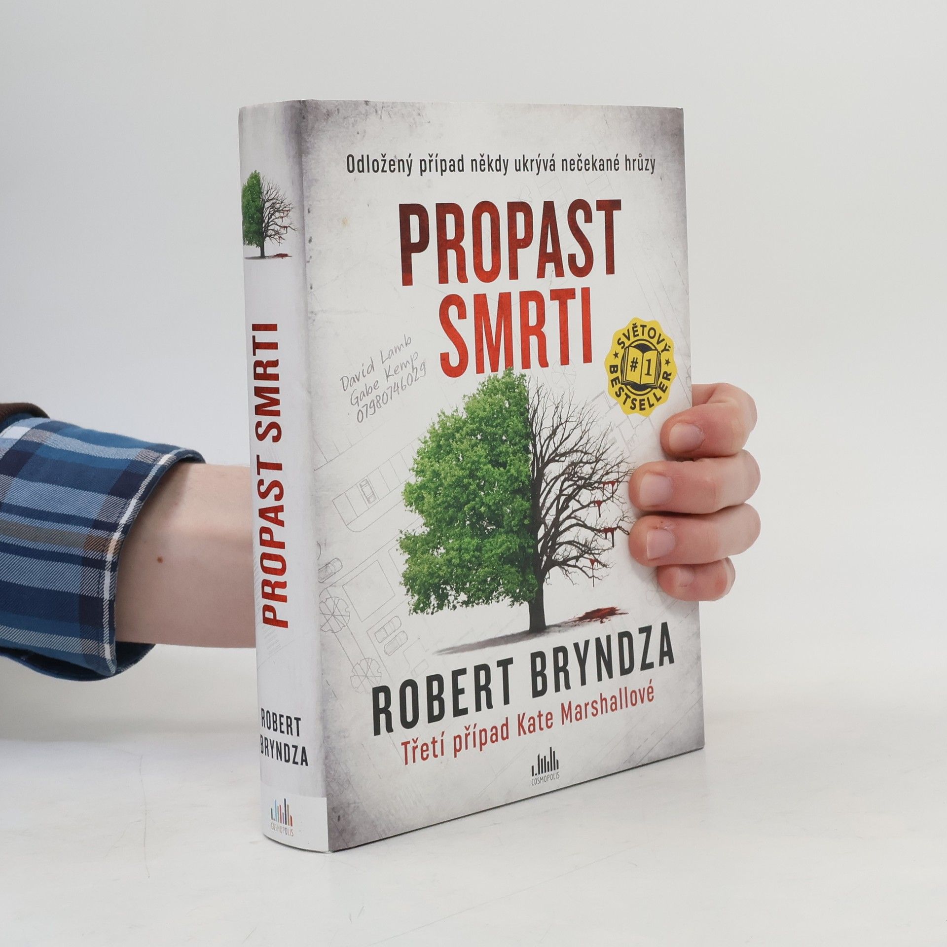 Robert Bryndza Propast smrti