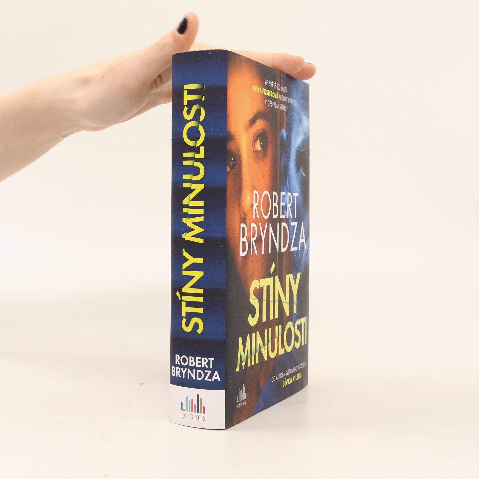 Robert Bryndza Stíny minulosti