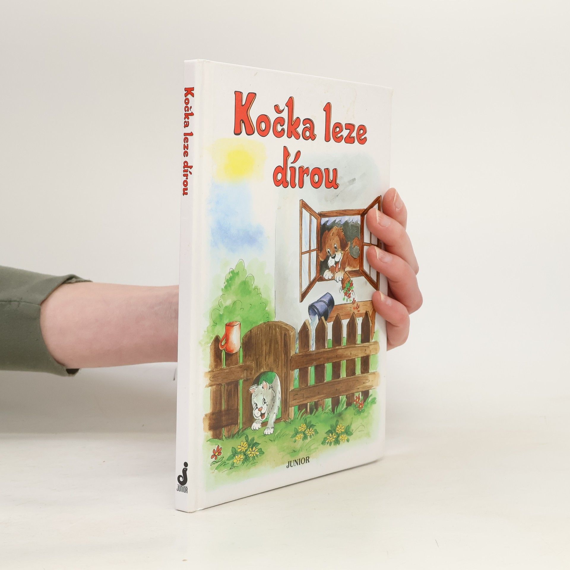 Vladimíra Vopičková Kočka leze dírou