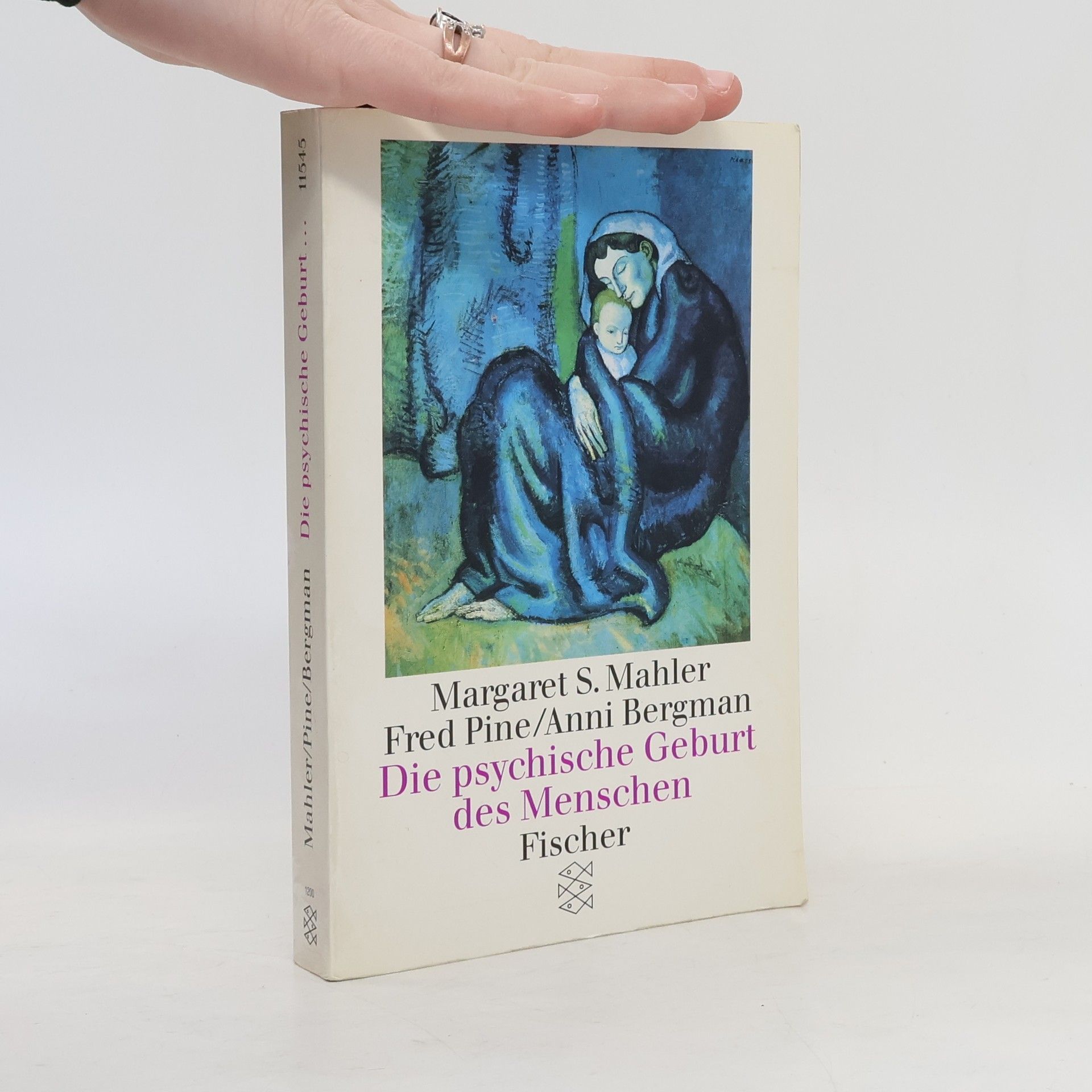 Anni Bergman Die psychische Geburt des Menschen