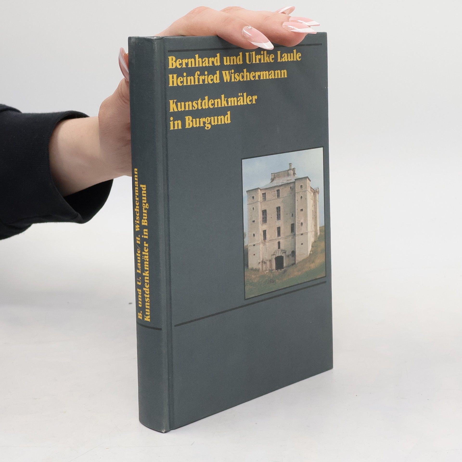 Heinfried Wischermann Kunstdenkmäler in Burgund