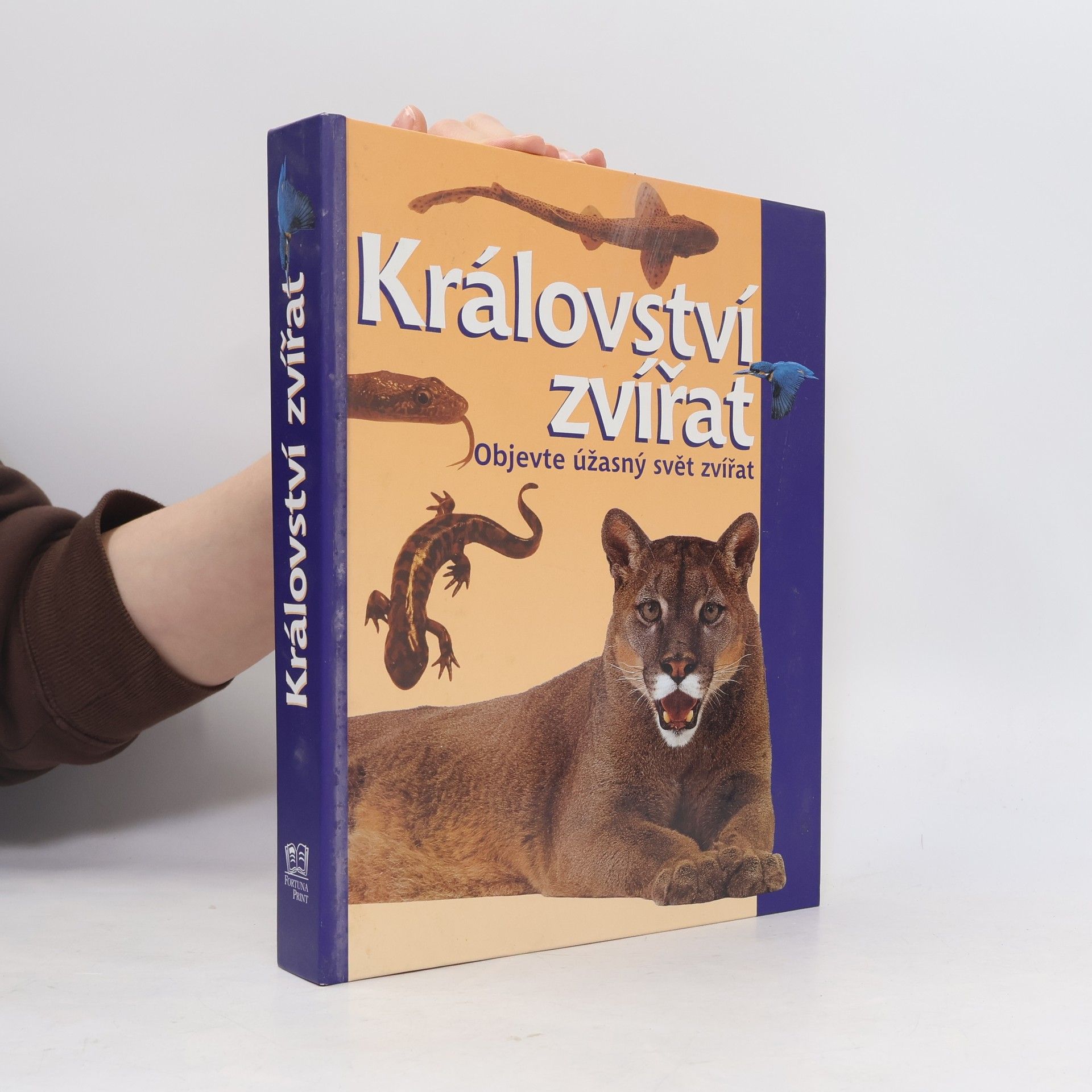 David Burnie Království zvířat