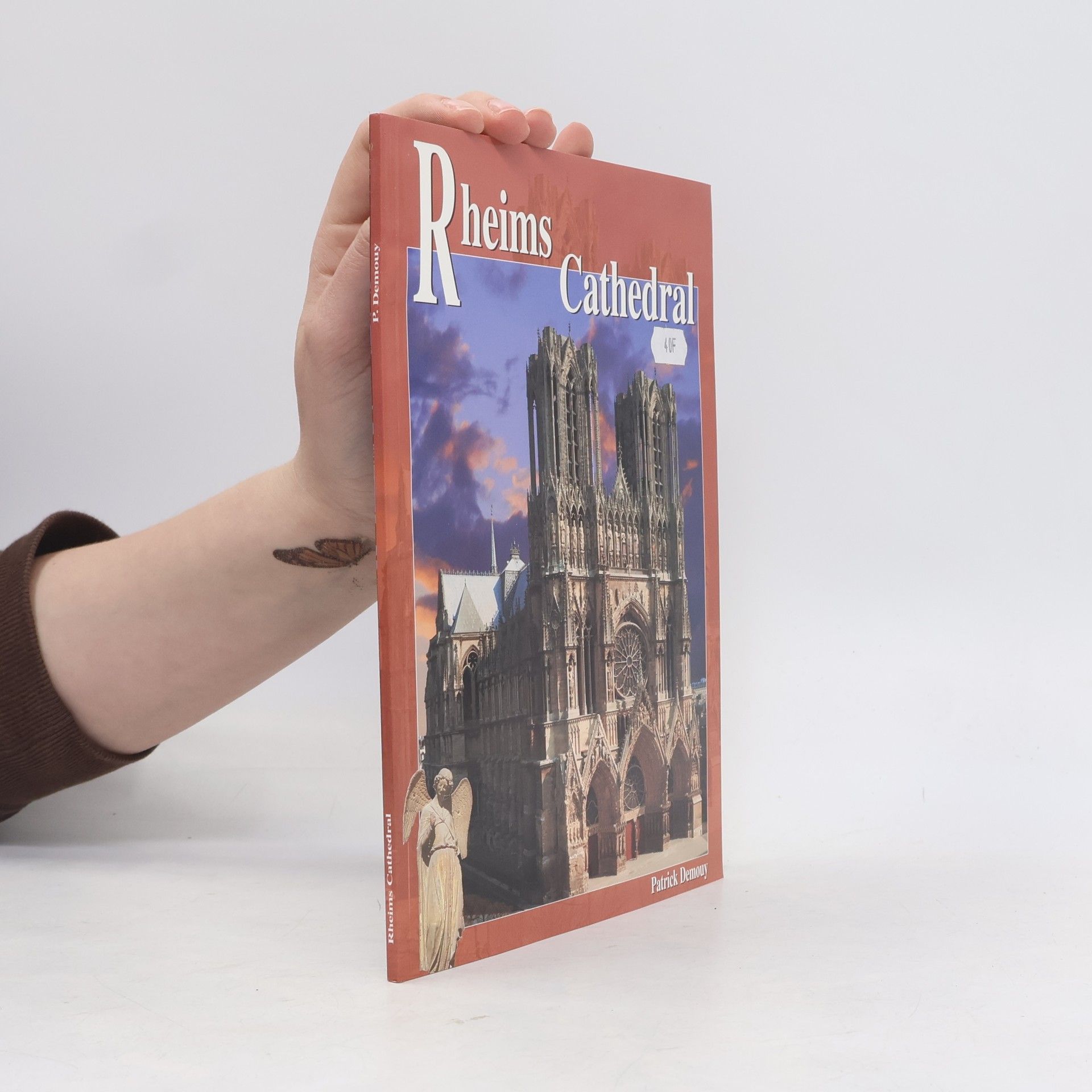 Patrick Demouy Rheims Cathedral